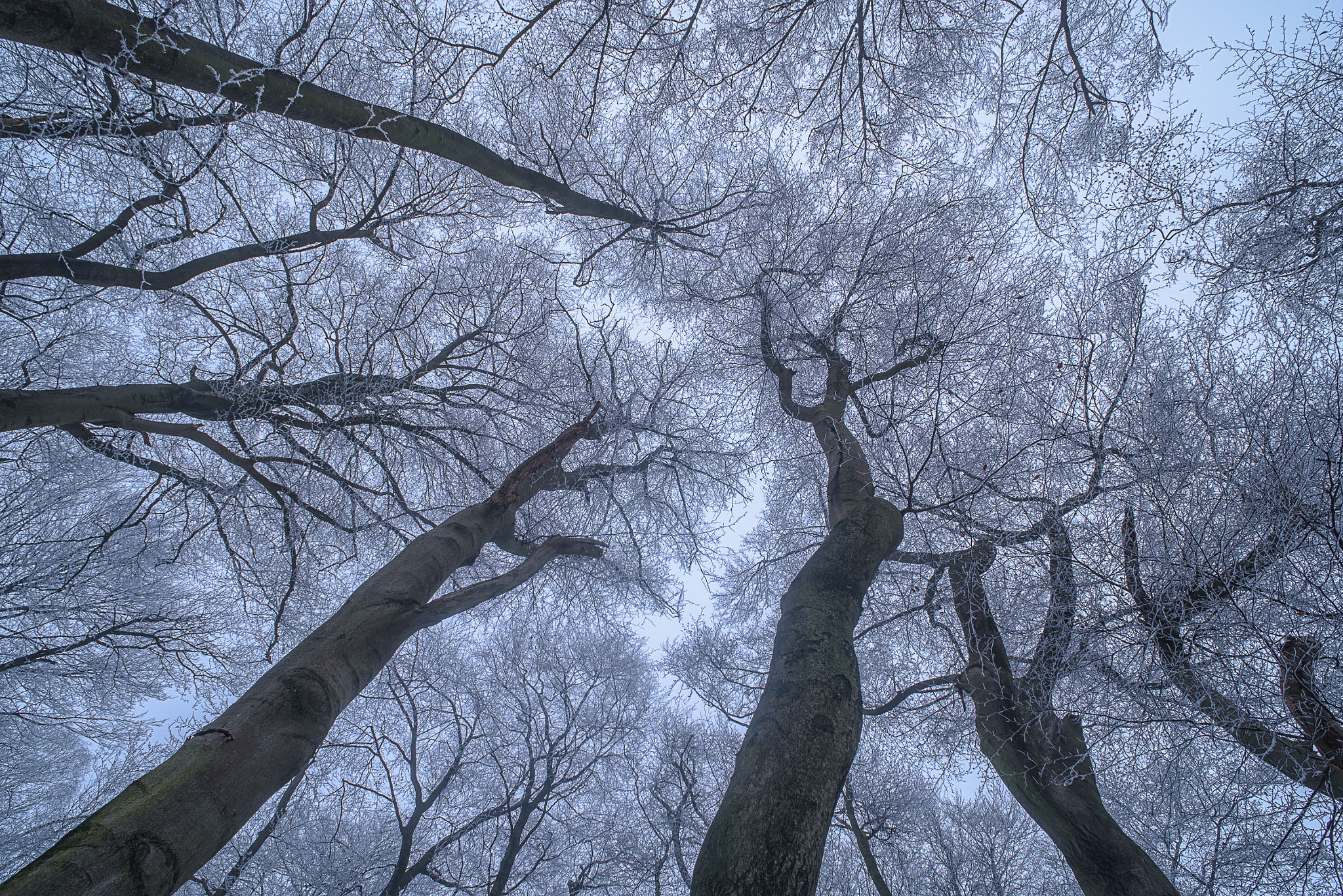 Nikon D750 + AF Nikkor 20mm f/2.8 sample photo. Frozen dancers photography