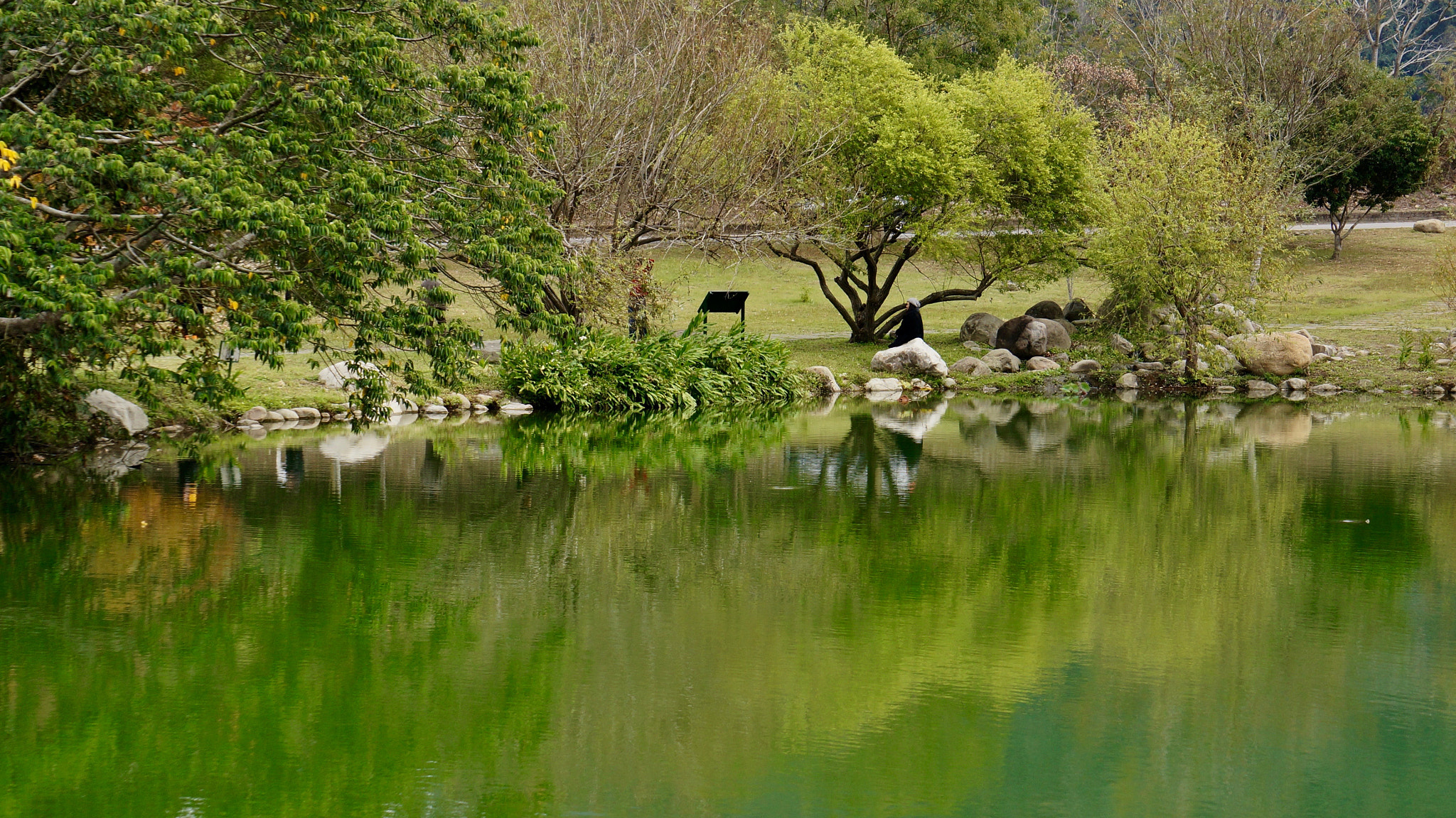 Sony E 55-210mm F4.5-6.3 OSS sample photo. Lake in park photography
