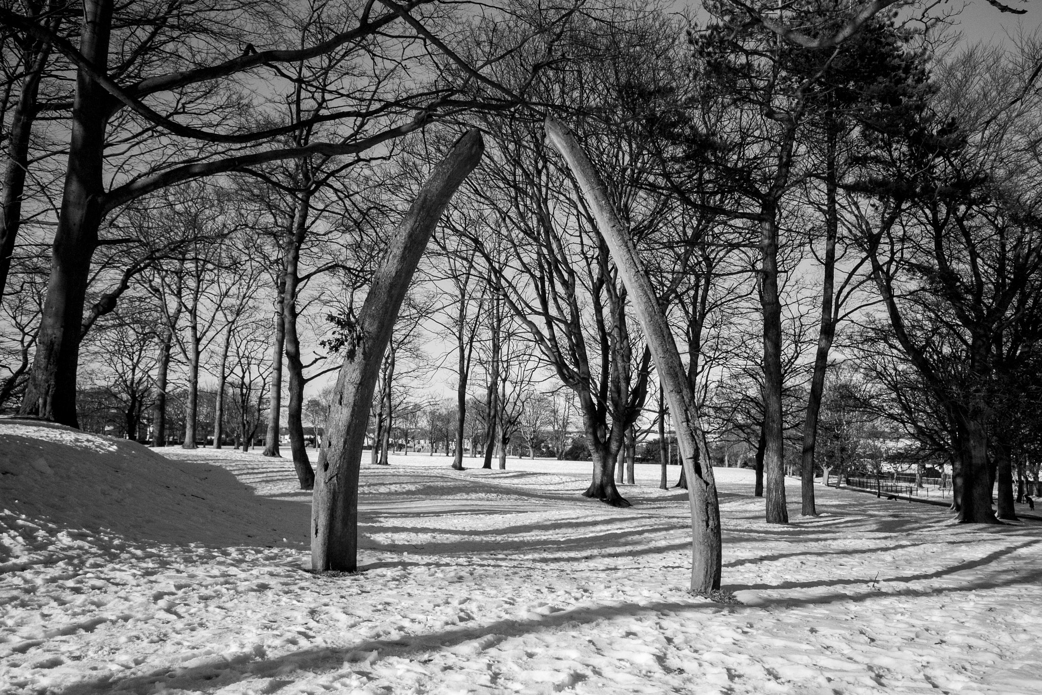 Sigma 10-20mm F4-5.6 EX DC HSM sample photo. Whalebone arch stuck in the grass photography