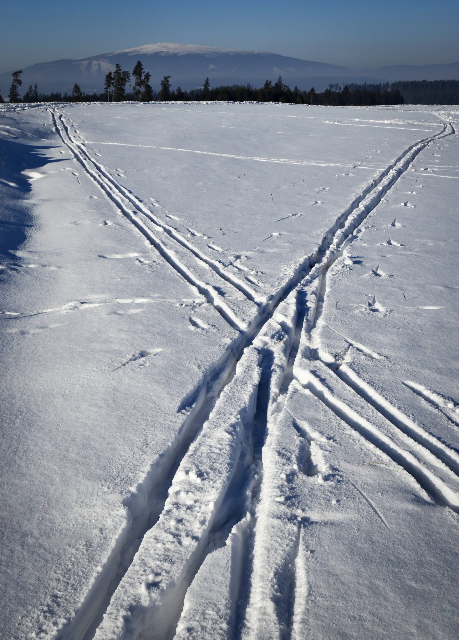 Nikon D5500 sample photo. Crossroad ski routes photography