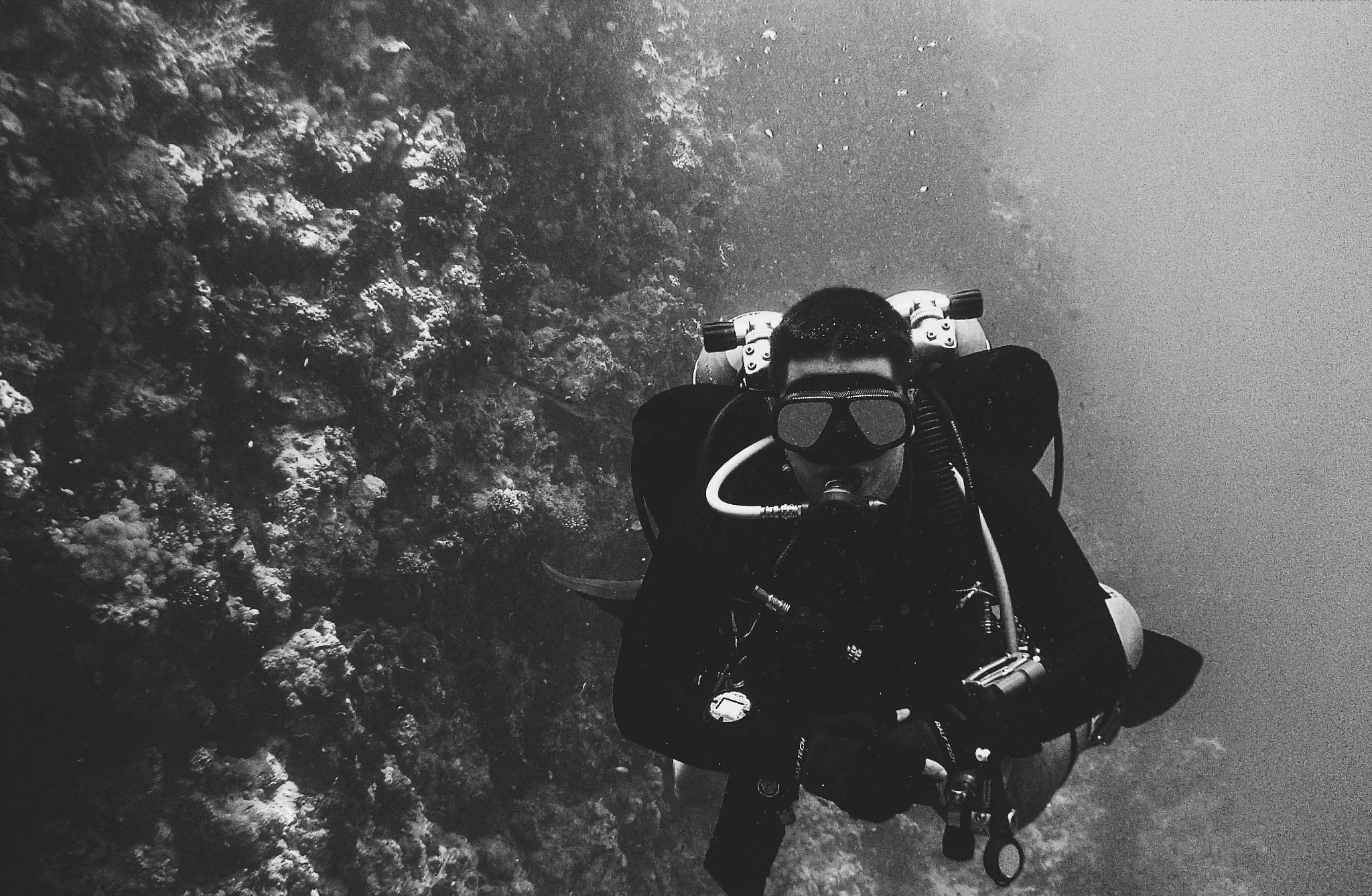 HP PHOTOSMART R818  (V01.00)+ sample photo. 50m down shark reef egypt photography