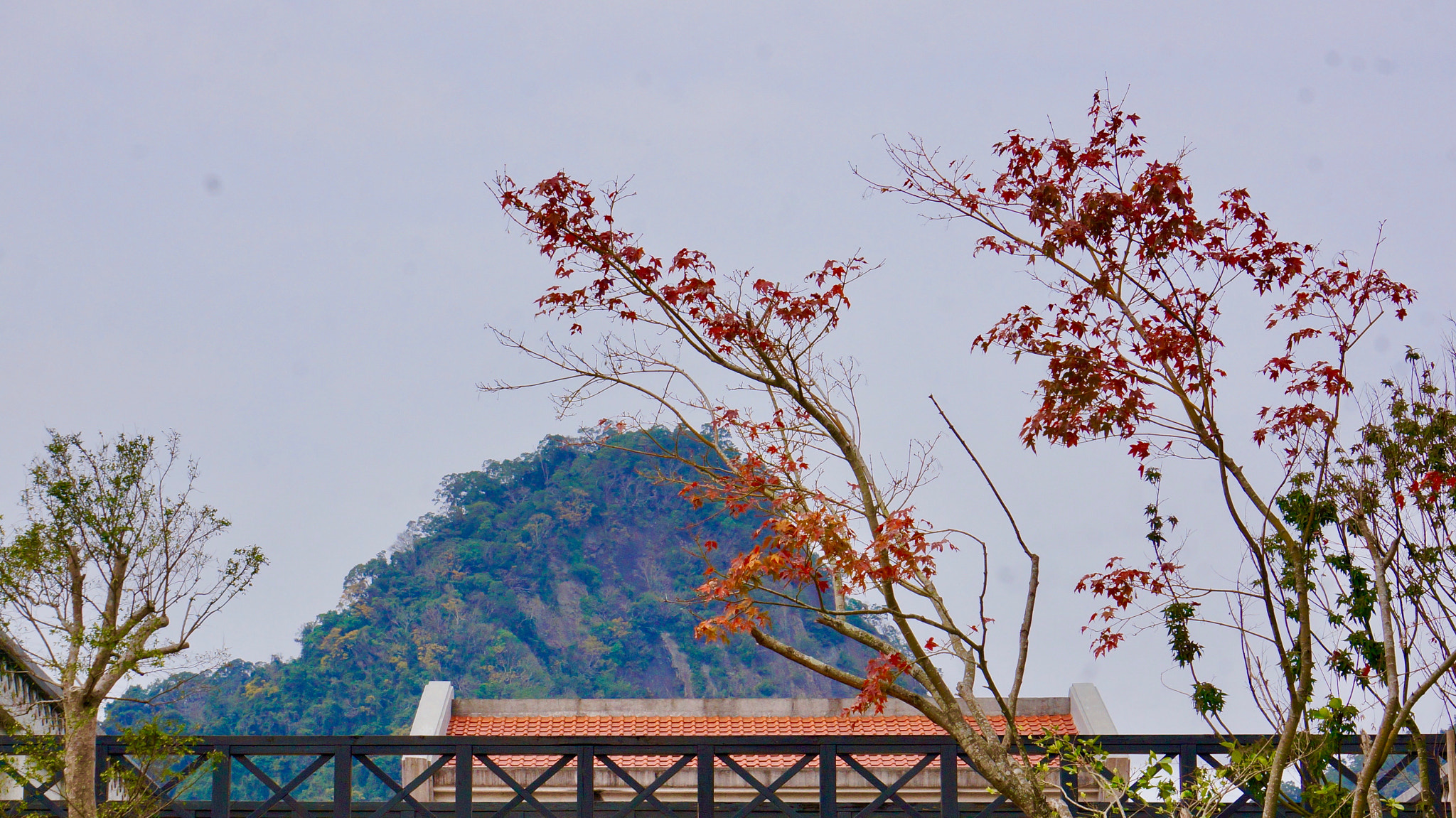 Sony E 55-210mm F4.5-6.3 OSS sample photo. Mountain top photography
