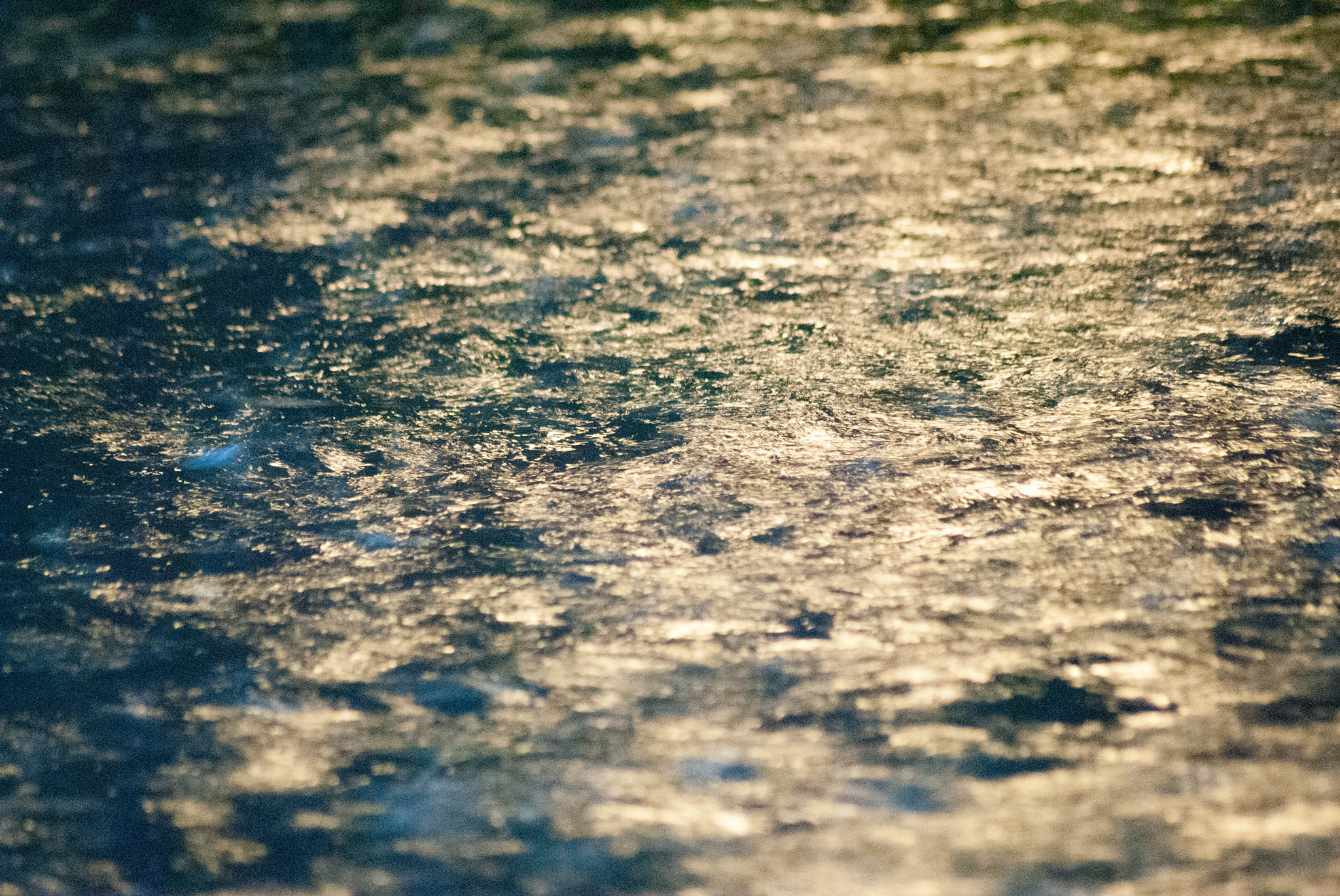 Sigma 70-300mm F4-5.6 APO DG Macro sample photo. Rainy day photography