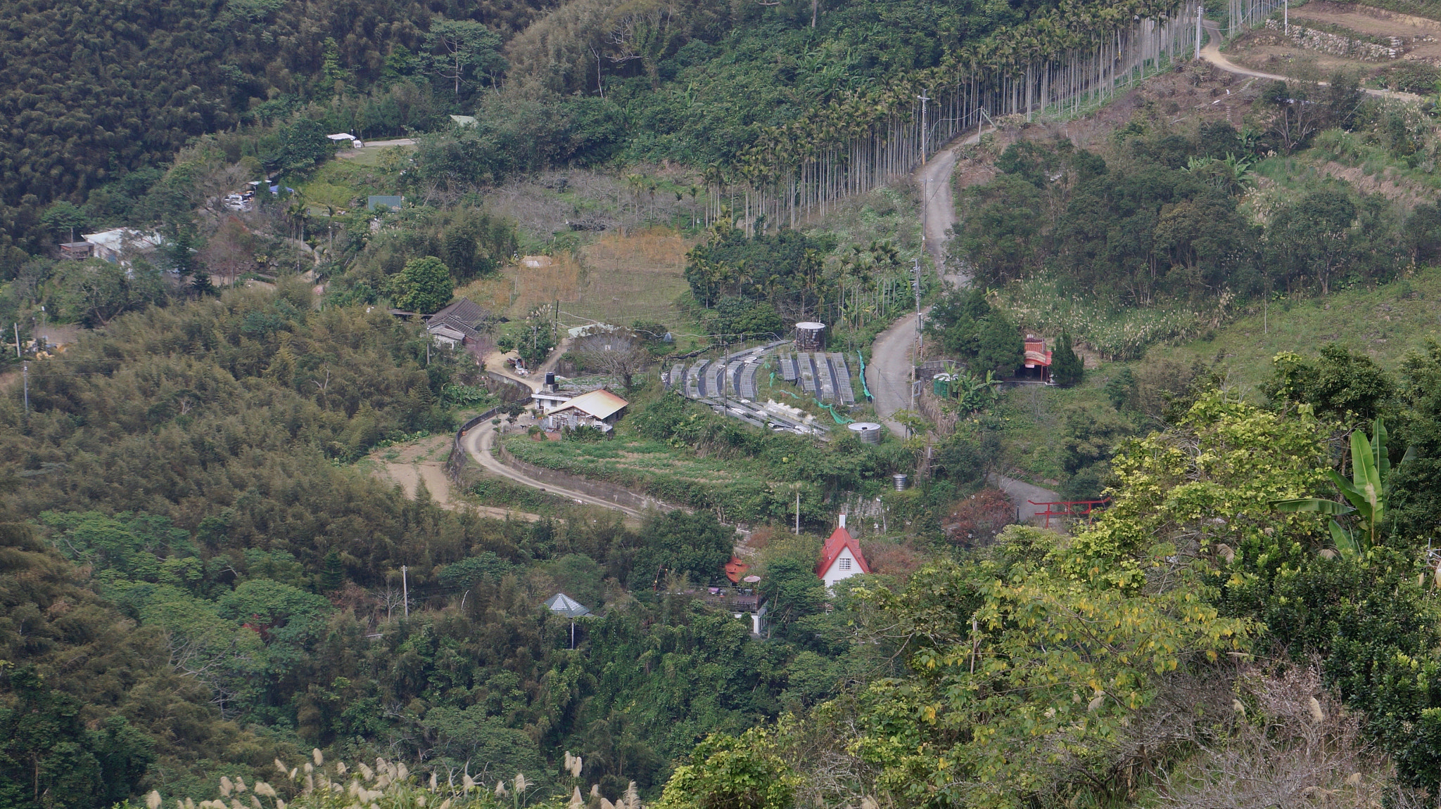 Sony E 55-210mm F4.5-6.3 OSS sample photo. Hiking mt. eagle 鳶婆山 in miaoli 苗栗，taiwan photography
