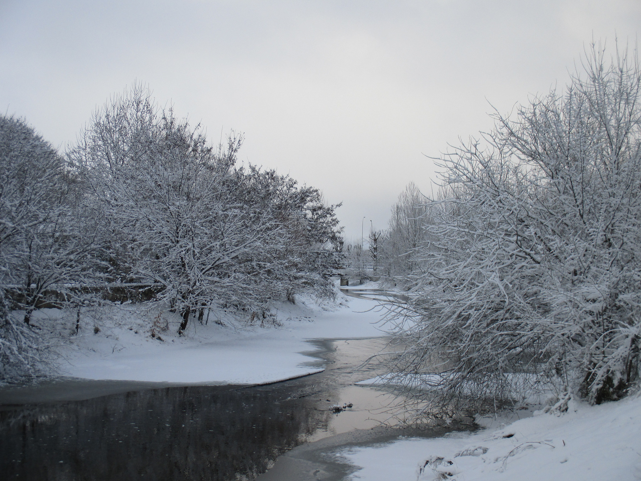 Canon PowerShot ELPH 135 (IXUS 145 / IXY 120) sample photo. Winter  photography