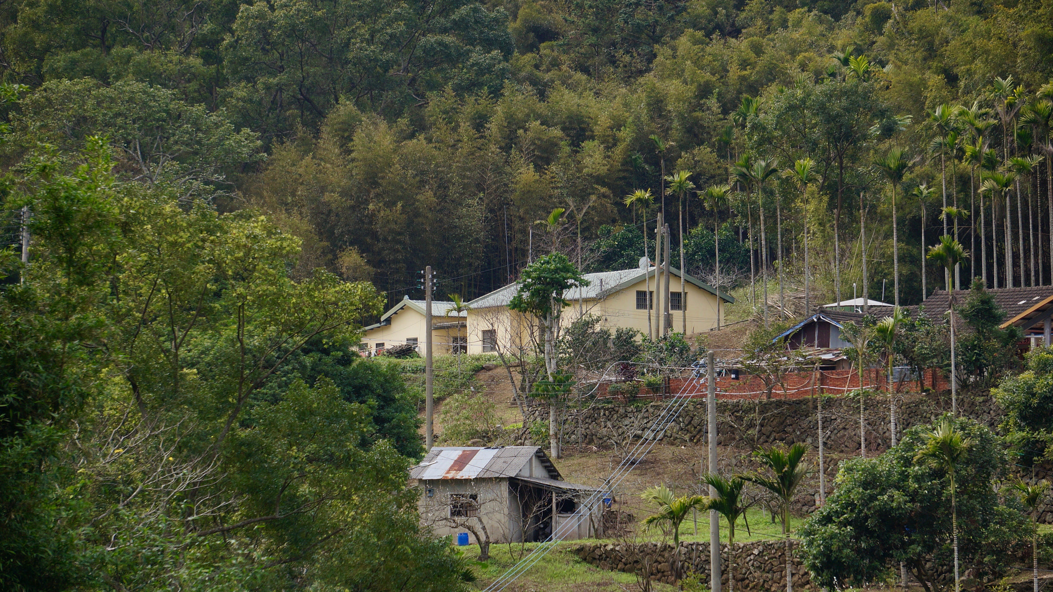 Sony E 55-210mm F4.5-6.3 OSS sample photo. Farm village in miaoli, taiwan photography