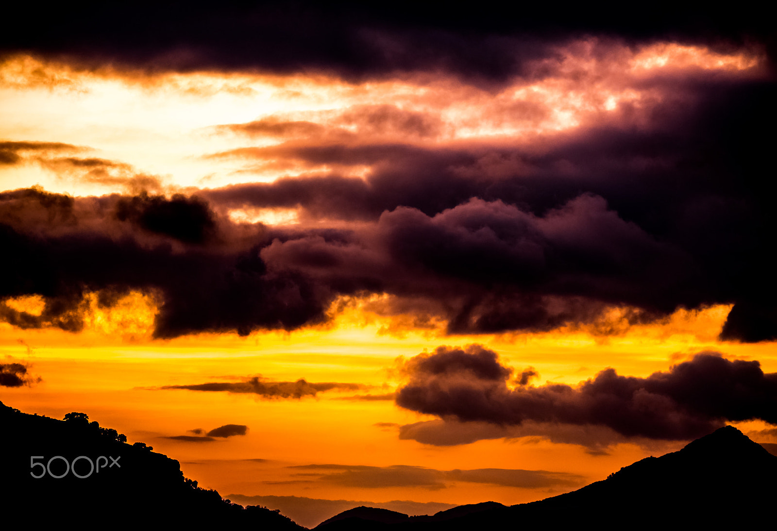 Sigma 150-500mm F5-6.3 DG OS HSM sample photo. Cold sunset photography