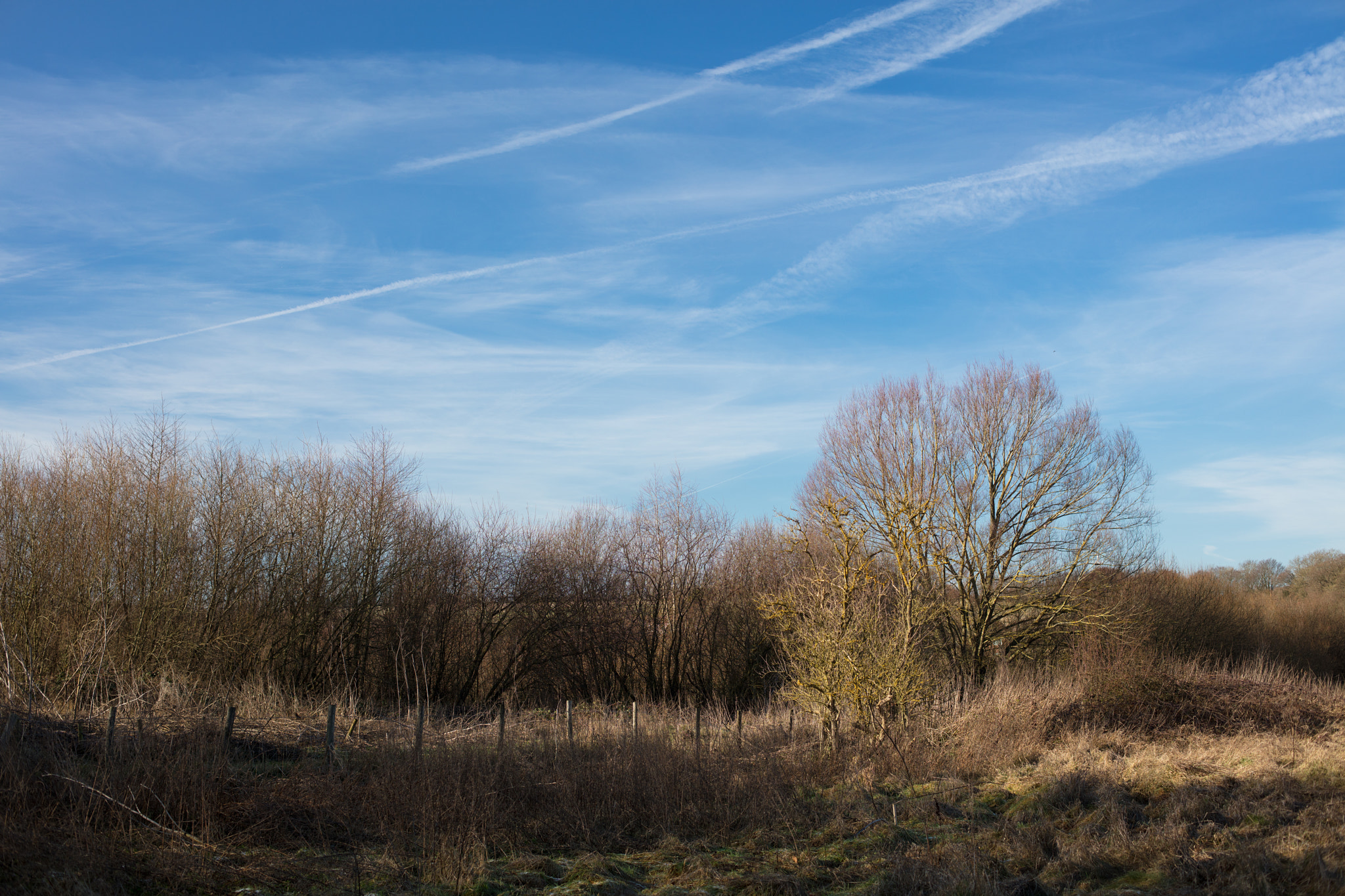 Canon EOS 5DS R sample photo. Deep winter afternoon photography