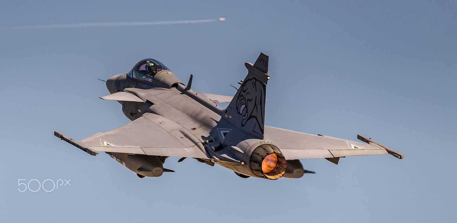 Sigma 150-600mm F5-6.3 DG OS HSM | C sample photo. Jas-39c gripen 59/1 'puma' 40 photography