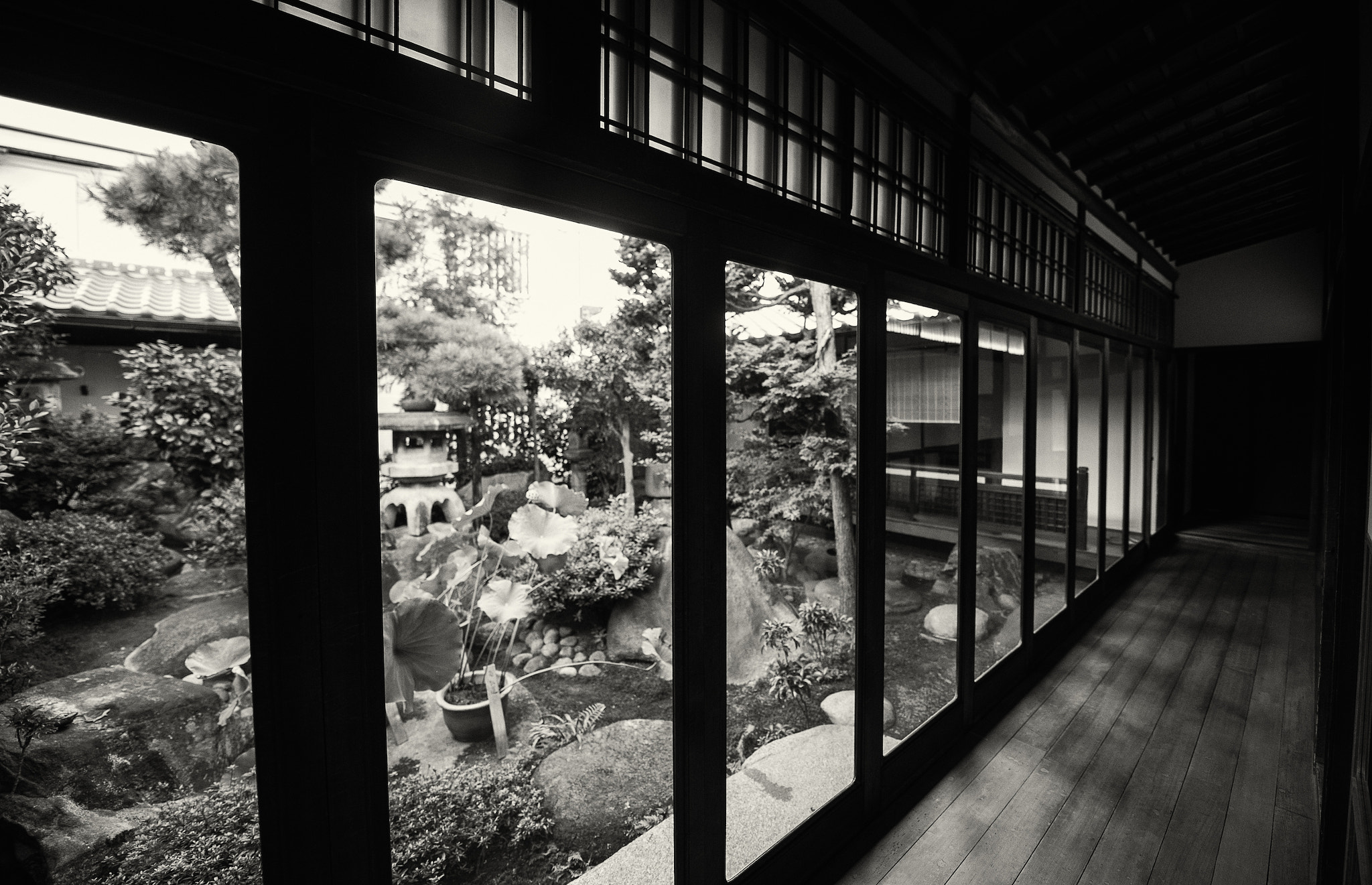 Nikon D3S sample photo. Kyoto photography
