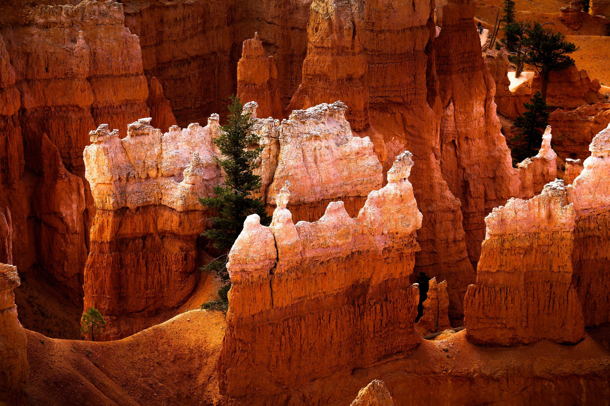 Sigma 18-200mm f/3.5-6.3 DC OS sample photo. Awesome orange color bryce canyon light photography