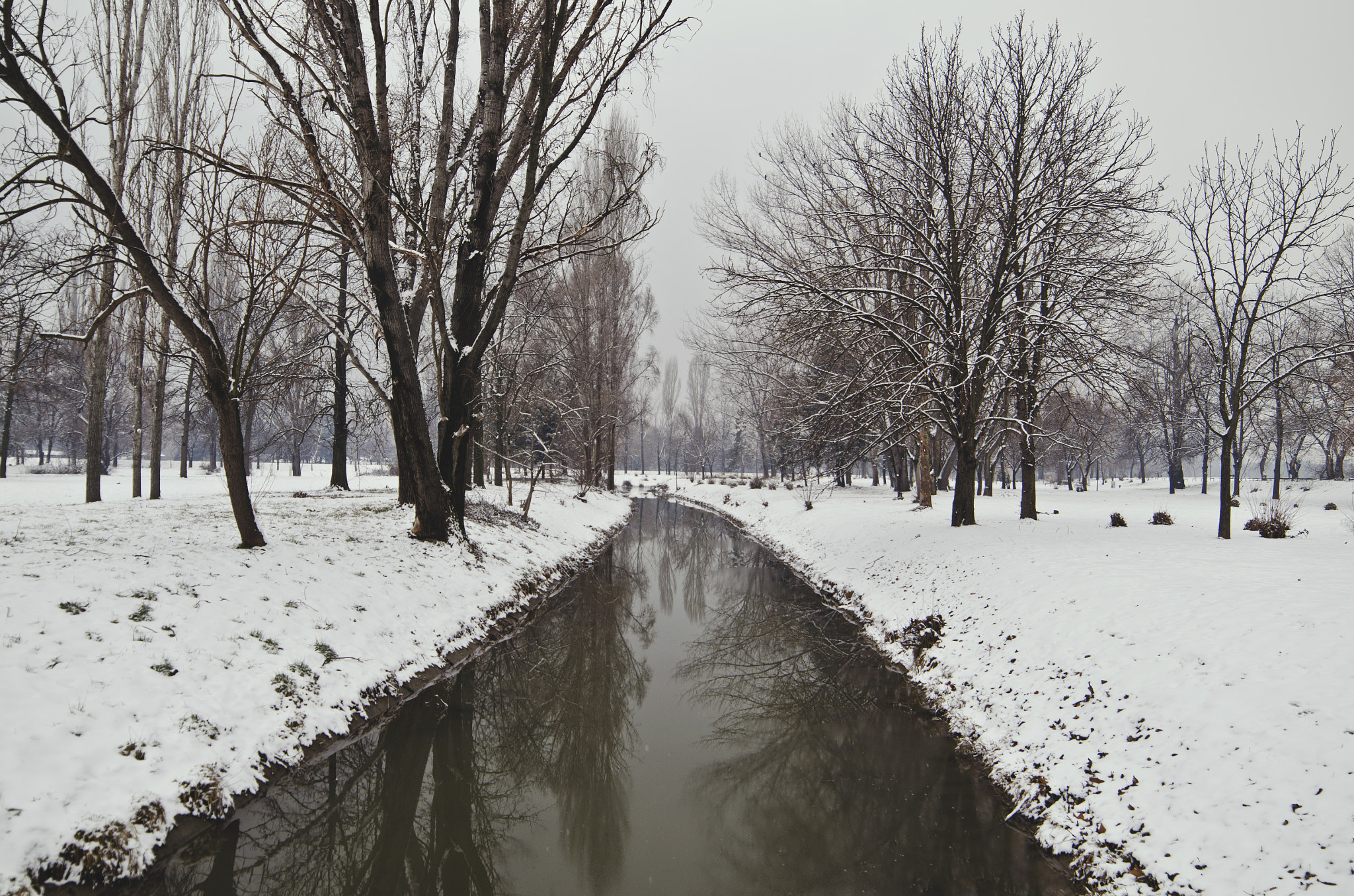 Samyang 14mm F2.8 ED AS IF UMC sample photo. Winter walks photography