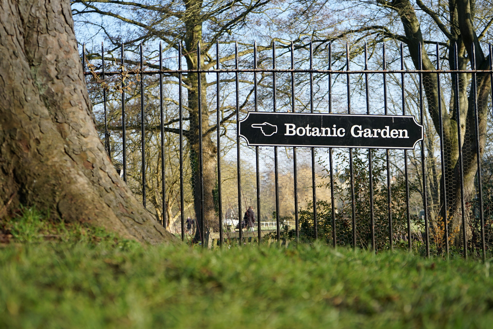 Tamron 18-200mm F3.5-6.3 Di III VC sample photo. Botanic garden photography