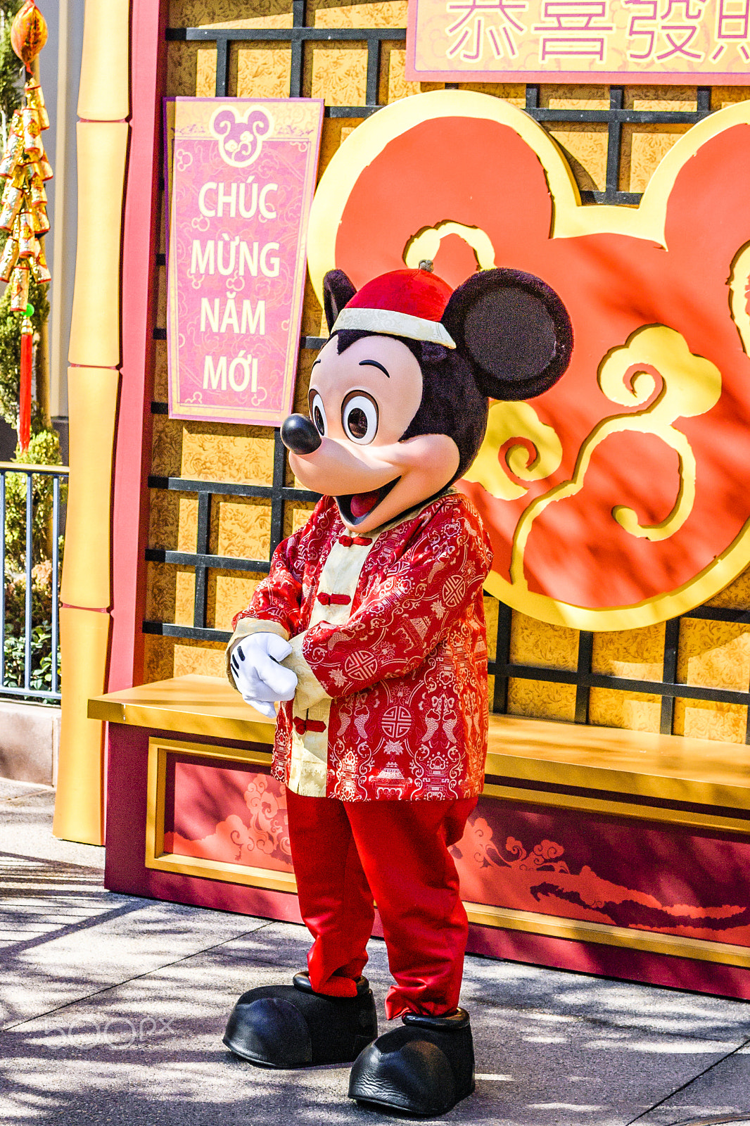 Nikon D40 sample photo. Chinese new year photography
