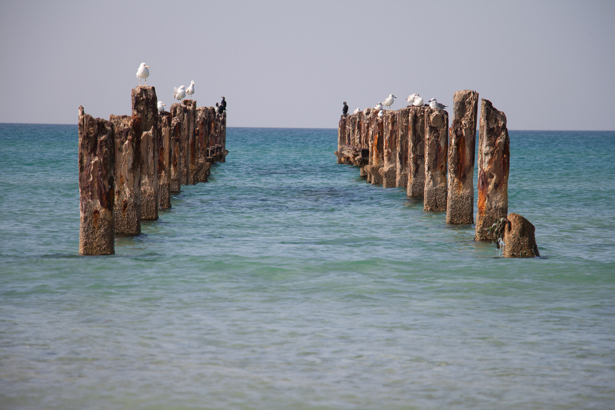 Canon EOS 500D (EOS Rebel T1i / EOS Kiss X3) sample photo. Beauty & the sea photography