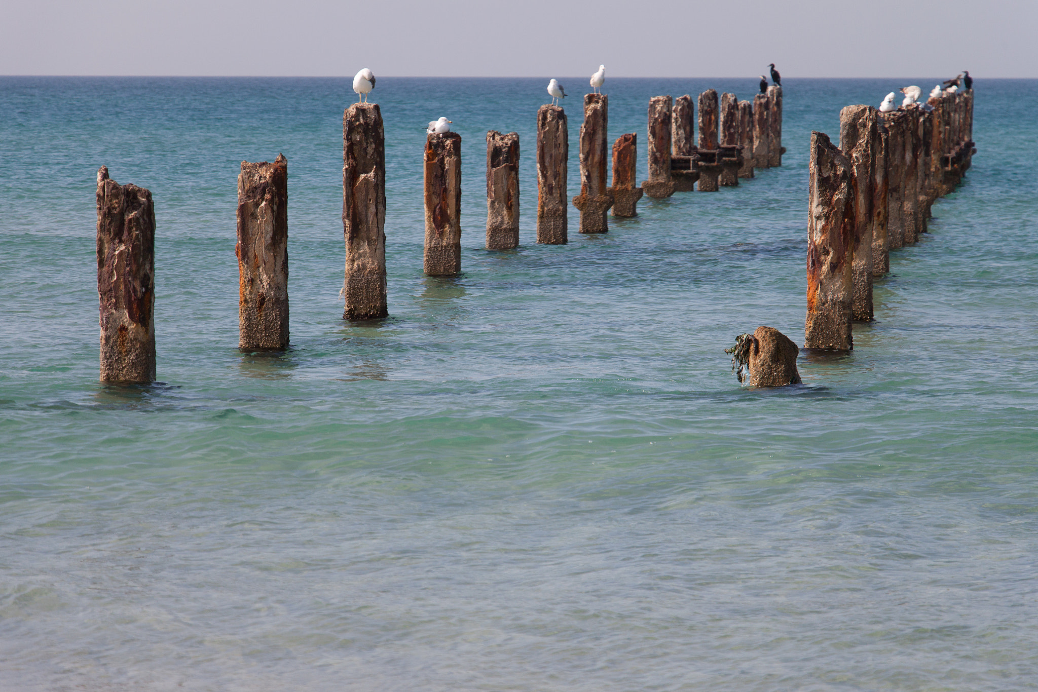 Canon EOS 500D (EOS Rebel T1i / EOS Kiss X3) sample photo. Sea photography