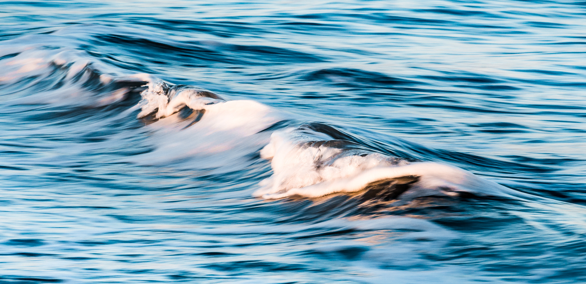 Canon EF-S 55-250mm F4-5.6 IS STM sample photo. Constanta photography