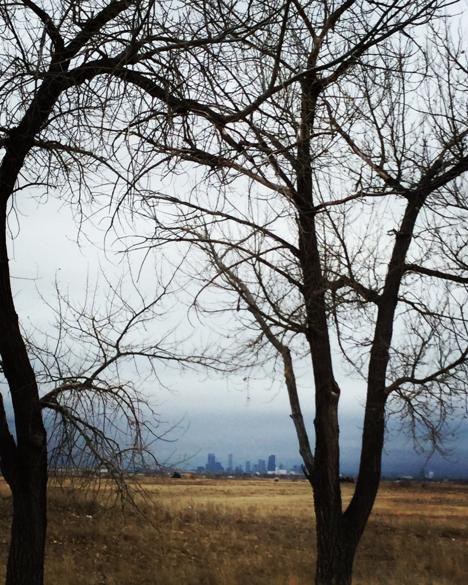 Apple iPad5,3 sample photo. Denver, colorado in the distance.  photography