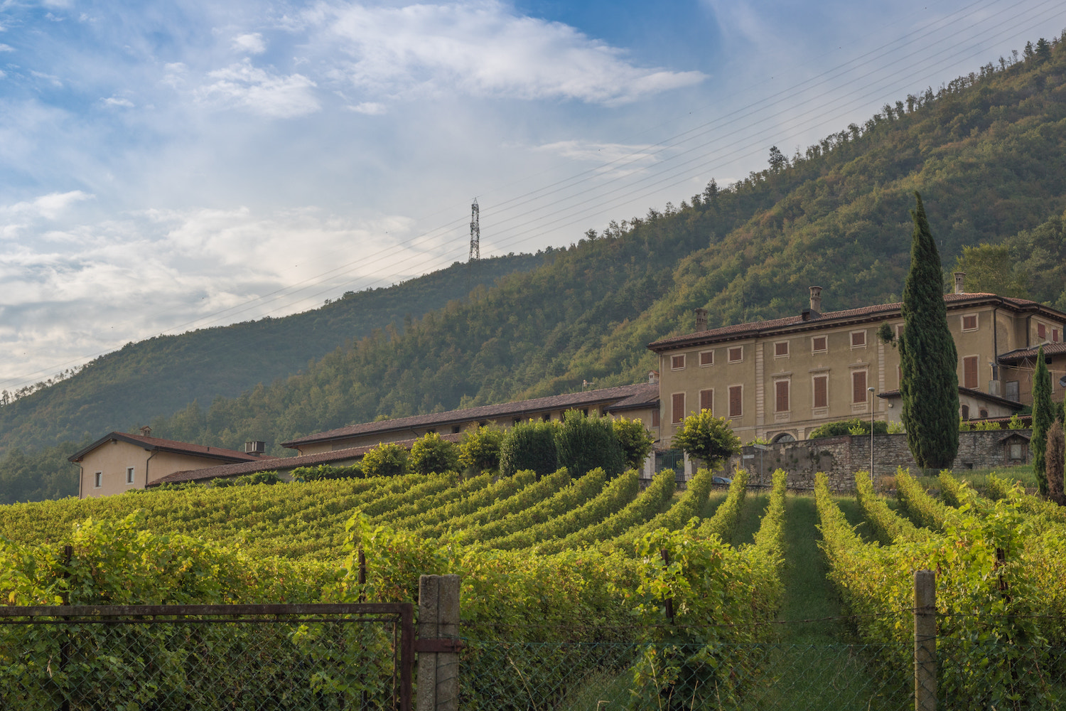 Canon EOS 760D (EOS Rebel T6s / EOS 8000D) + Canon EF 50mm F1.8 II sample photo. Villa redona photography