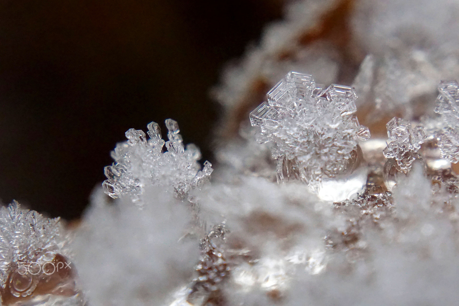 Sony a5100 + Sony E 18-50mm F4-5.6 sample photo. Ice crystals photography