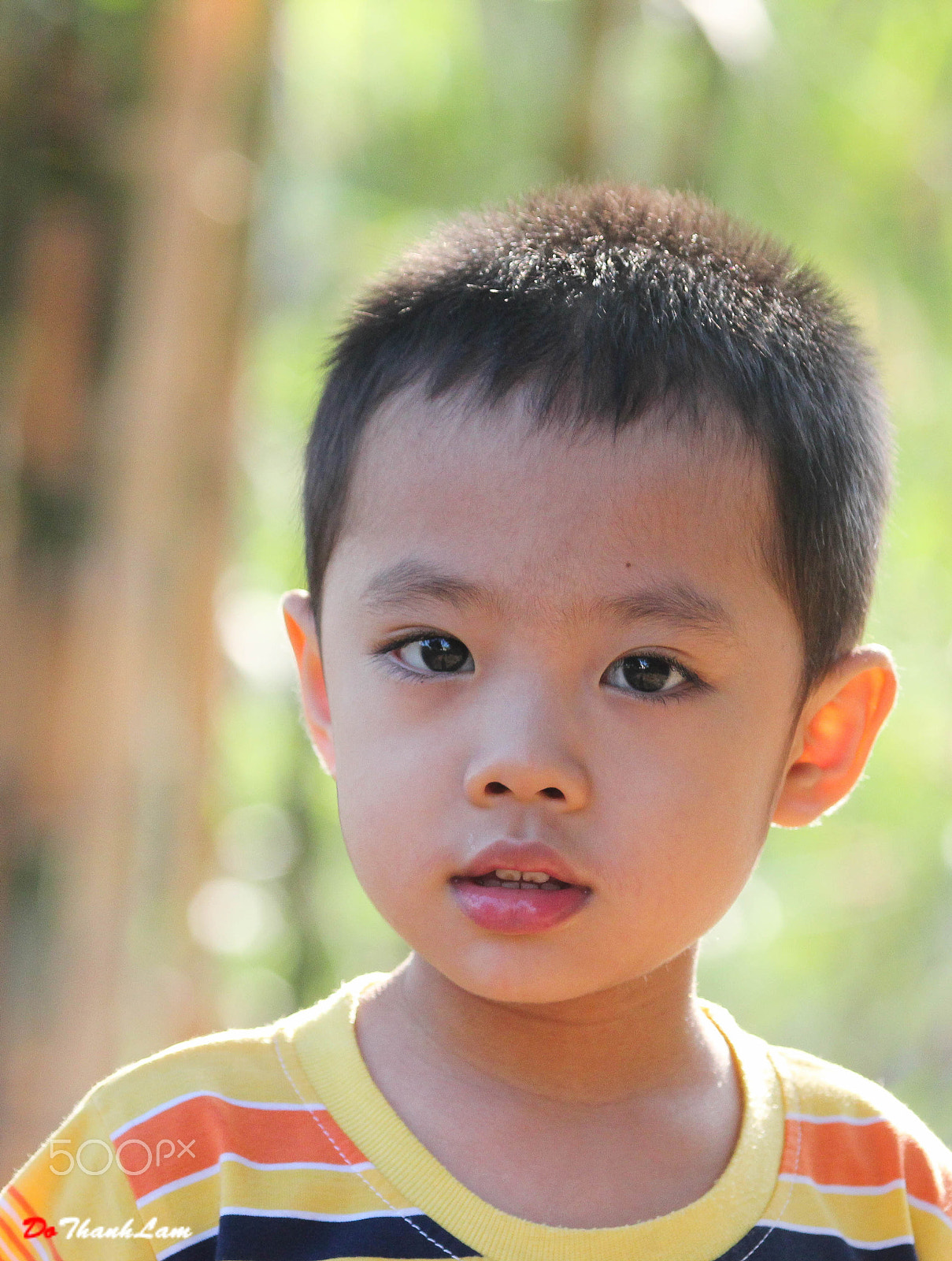 Canon EF 80-200mm f/2.8L sample photo. 25292269224.jpg photography