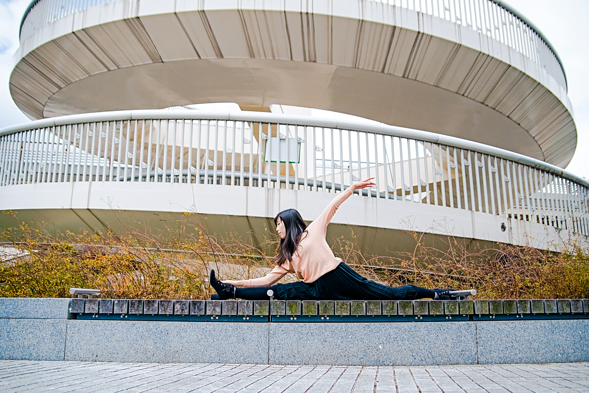 Nikon D800 sample photo. Portrait -  swan photography