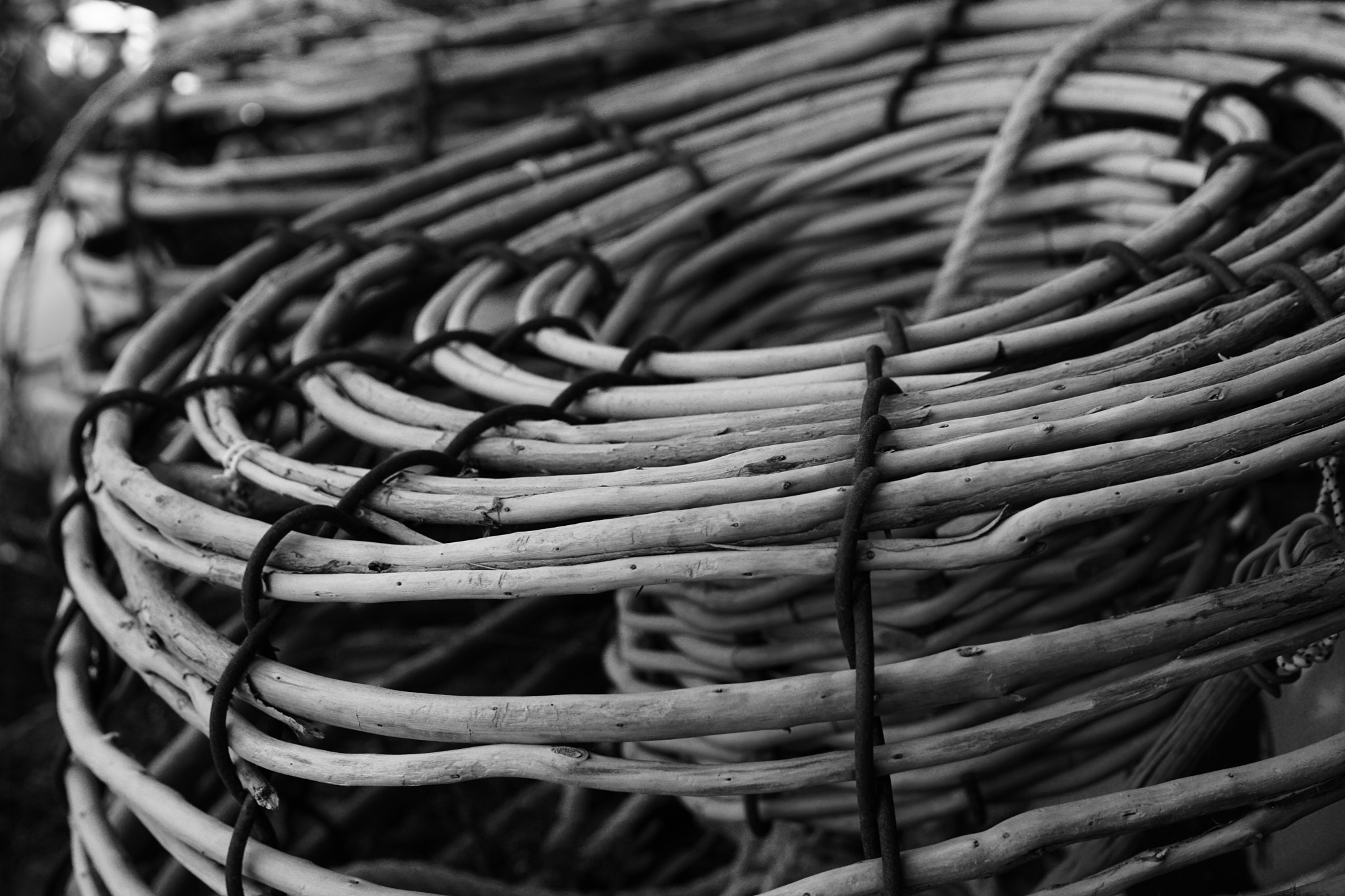 Sony ILCA-77M2 sample photo. Craypots photography