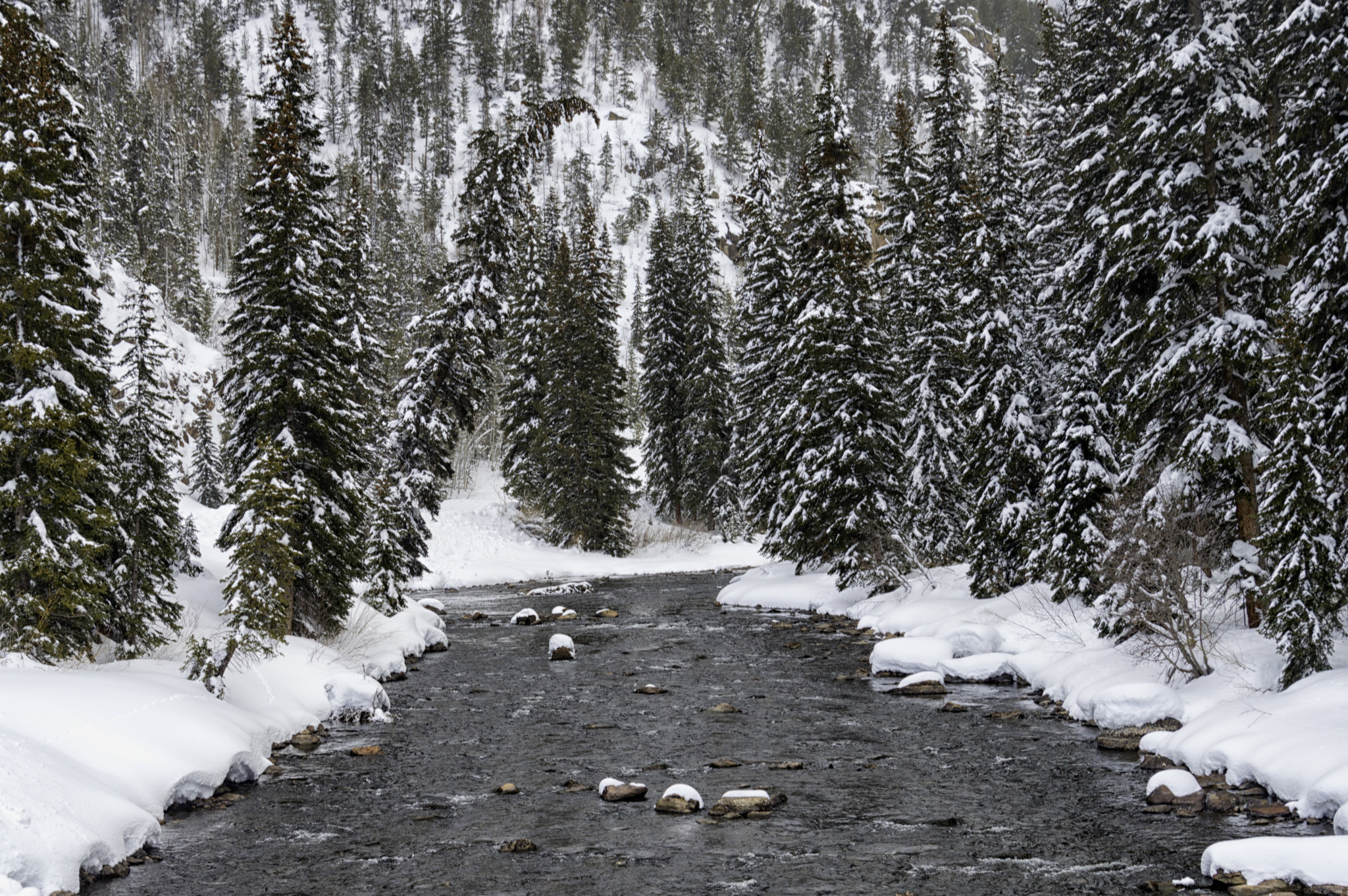 Nikon D3200 sample photo. Rocky mountain stream photography