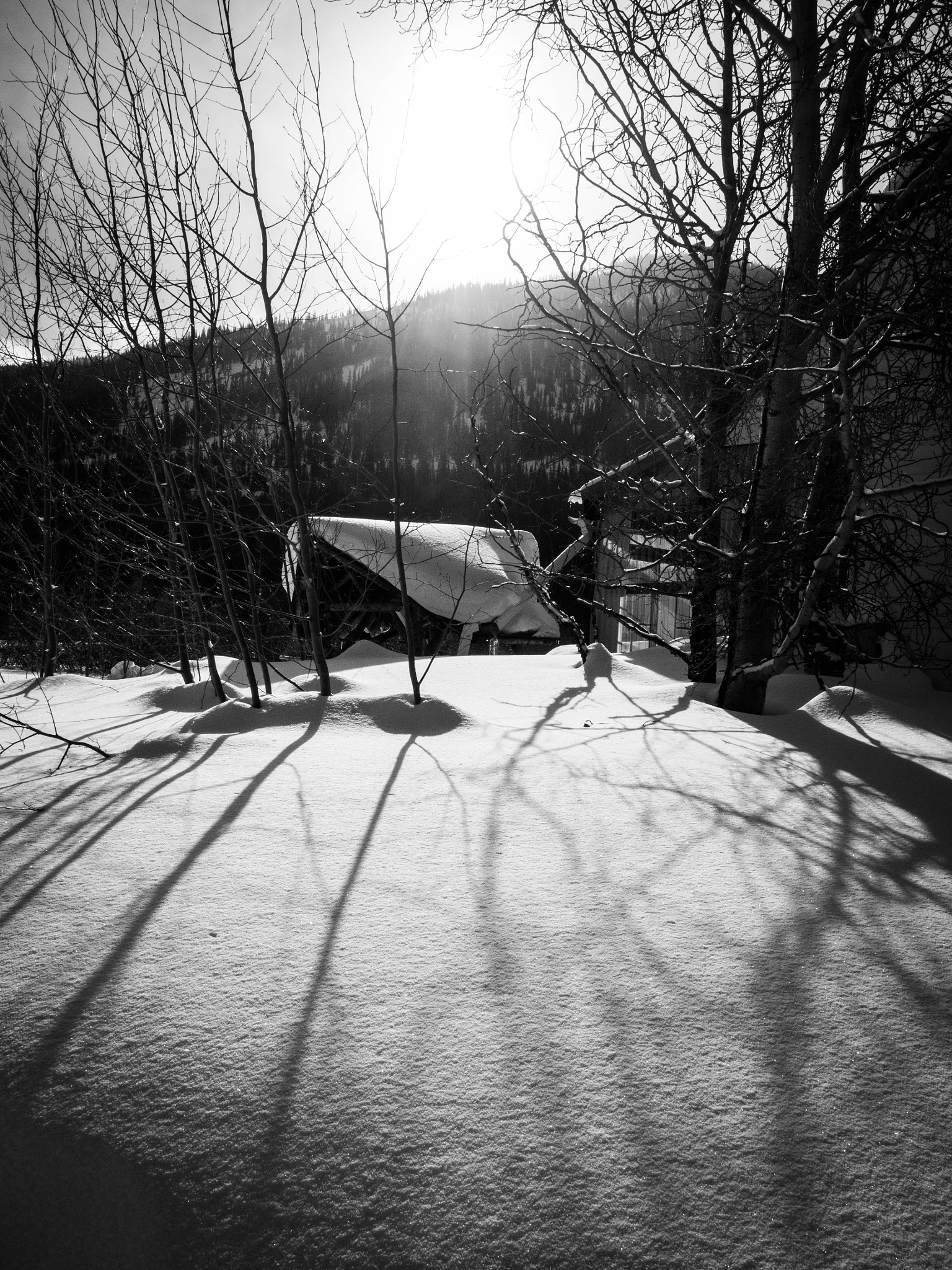 Olympus M.Zuiko Digital 14-42mm F3.5-5.6 II R sample photo. Snow well photography