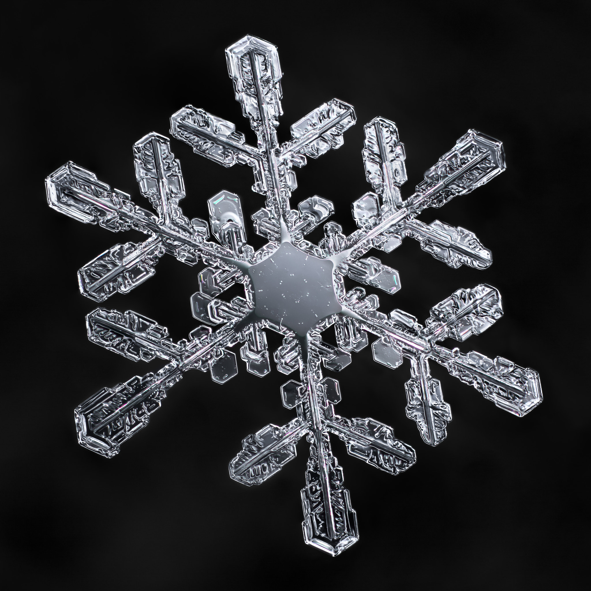 Canon MP-E 65mm F2.5 1-5x Macro Photo sample photo. Snowflake-a-day #41 photography