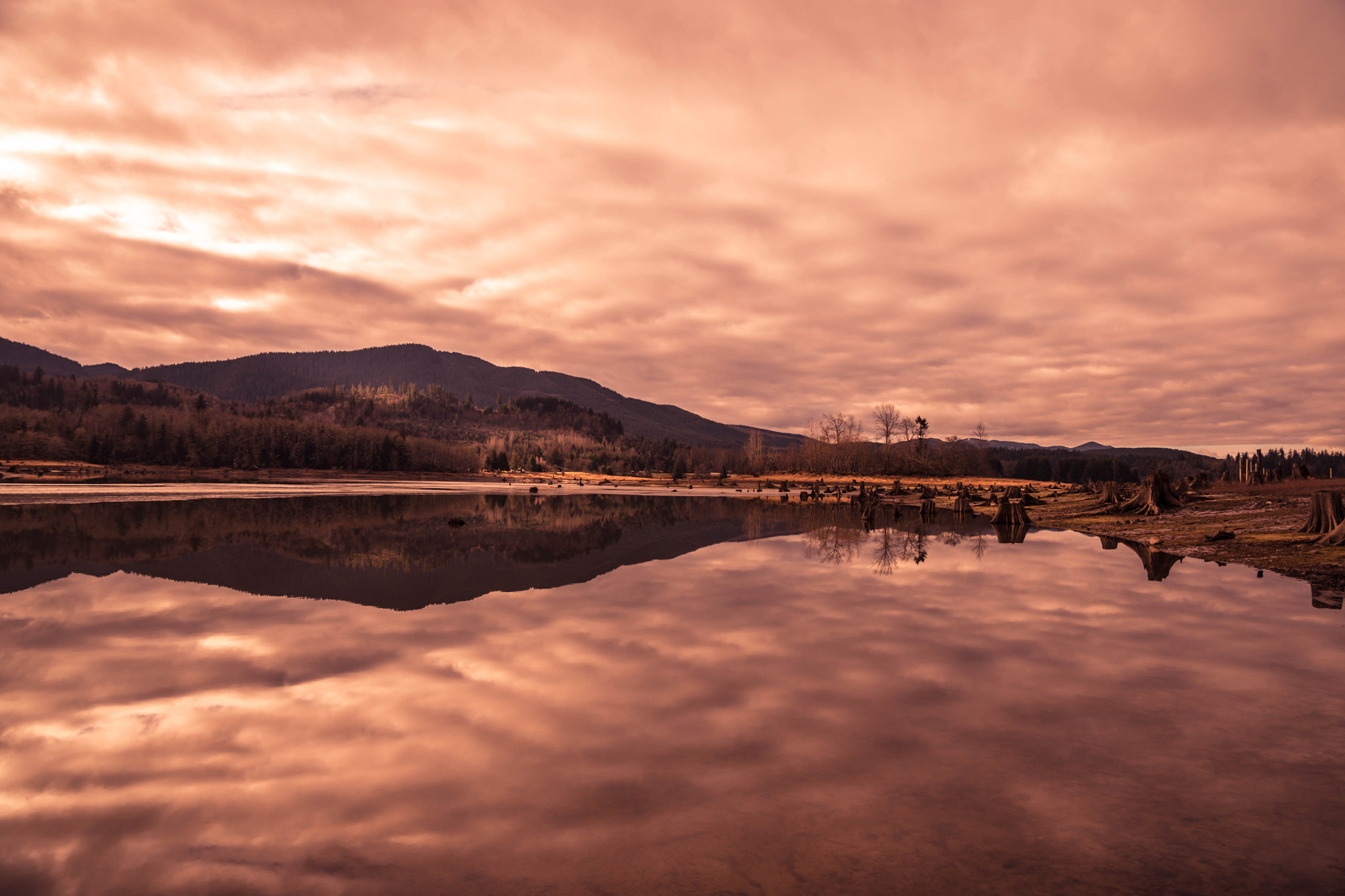 Nikon D800 sample photo. Early morning photography