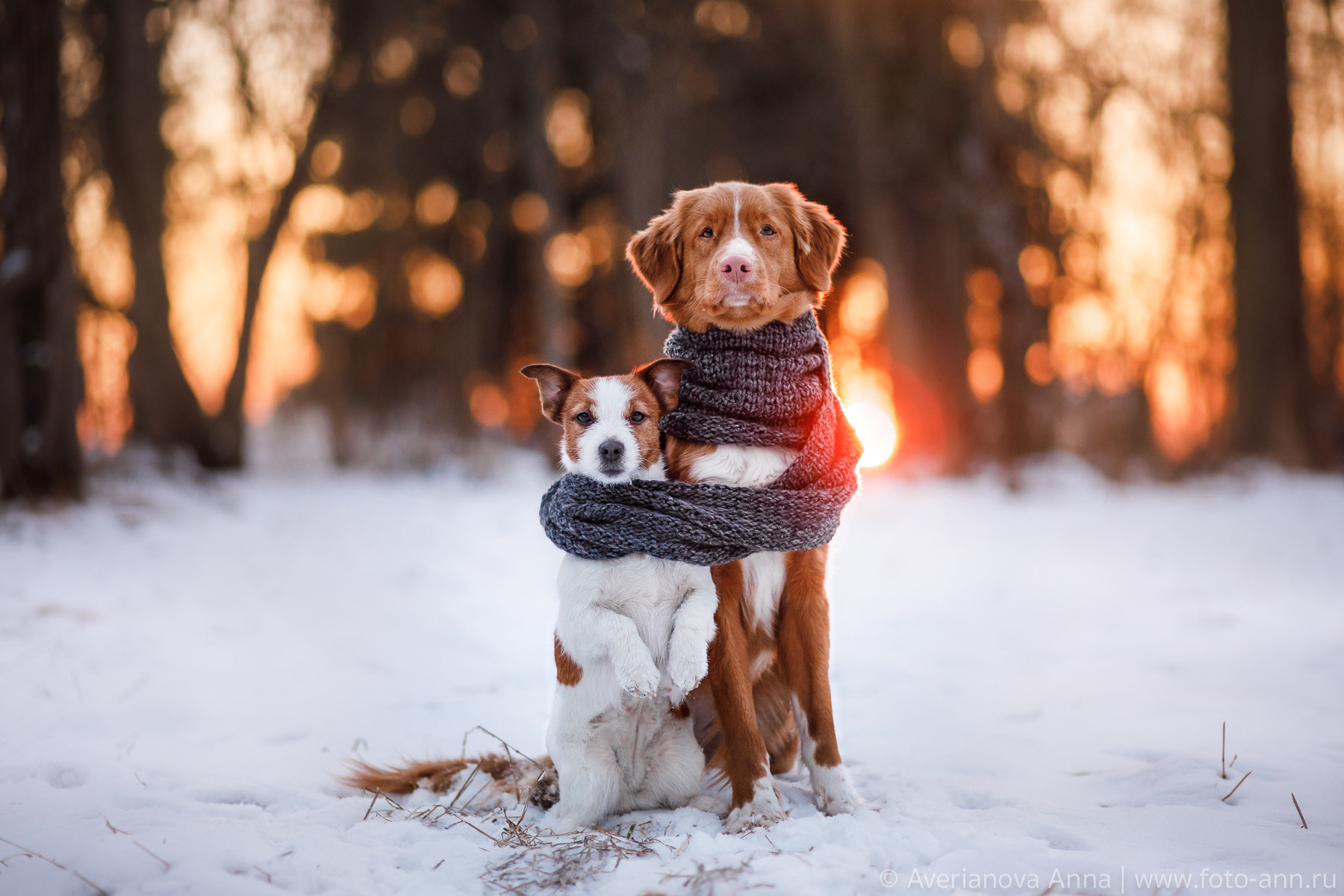 Canon EF 85mm F1.8 USM sample photo. Together warmer photography