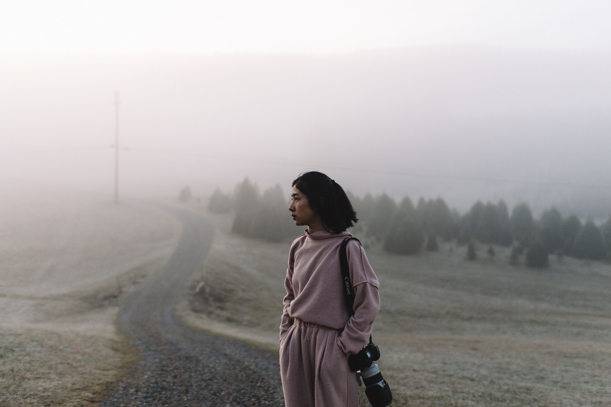 Sigma 30mm F1.4 EX DC HSM sample photo. Among the fog photography