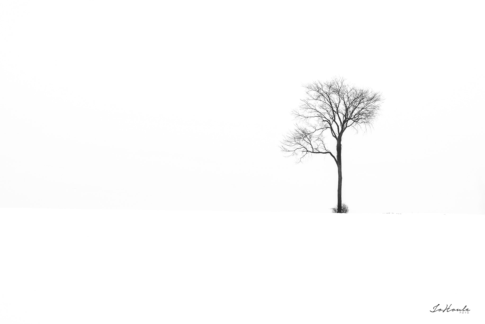 Nikon D800 sample photo. Winter photography