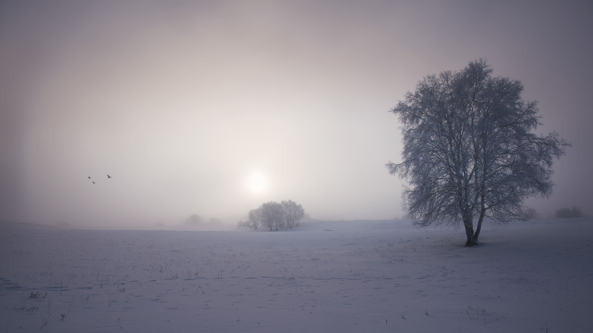 Nikon AF-S Nikkor 17-35mm F2.8D ED-IF sample photo. In the hazy decrepit dream photography