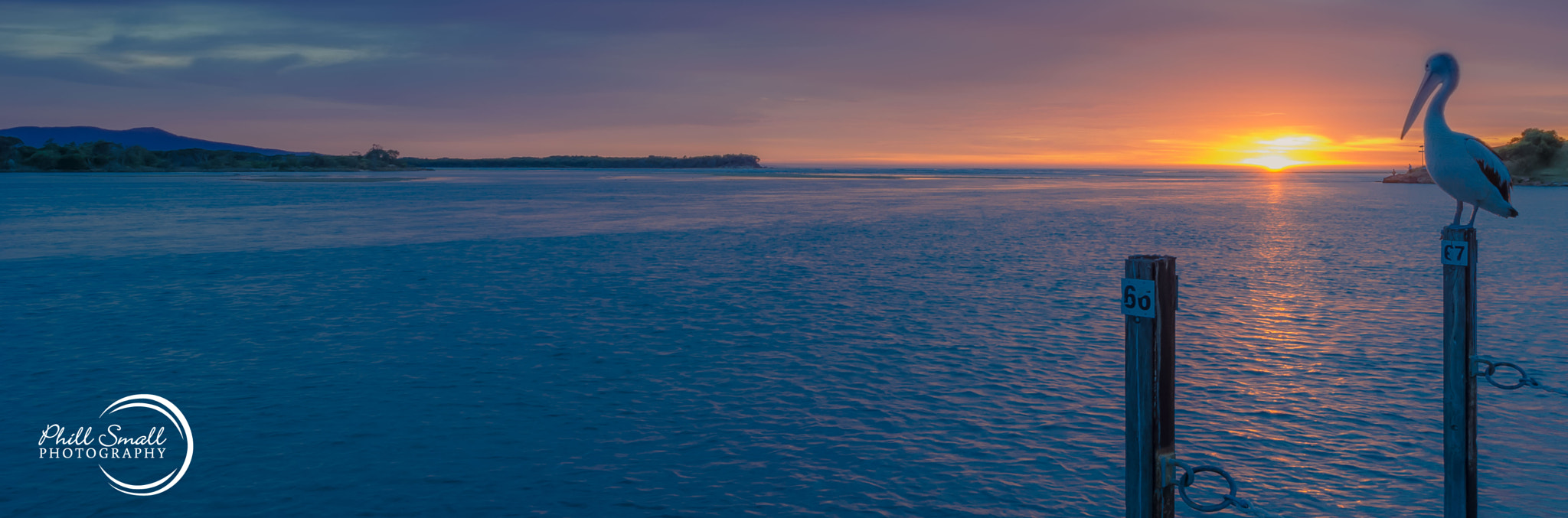 Nikon D3S sample photo. Awakening photography