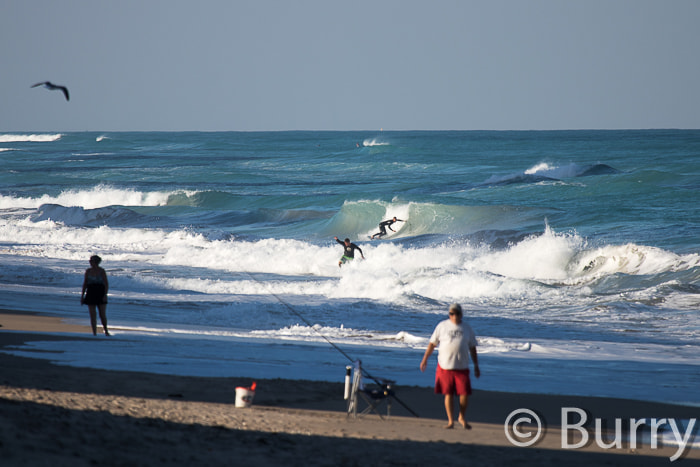Canon EF 100-400mm F4.5-5.6L IS USM sample photo. Shuckers photography