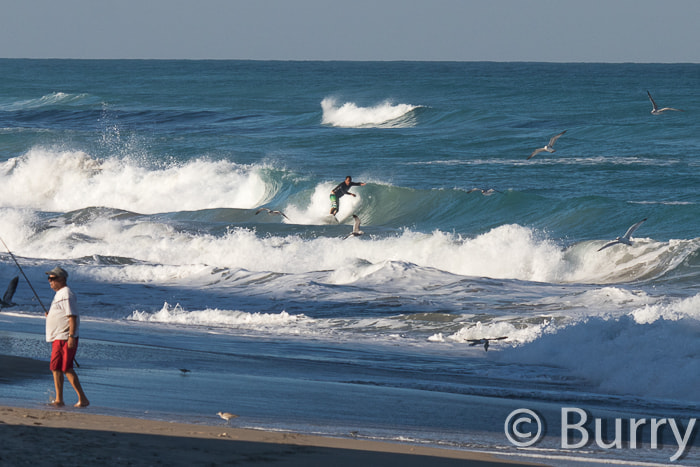 Canon EF 100-400mm F4.5-5.6L IS USM sample photo. Shuckers photography