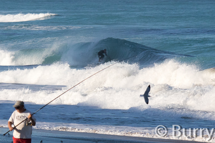 Canon EF 100-400mm F4.5-5.6L IS USM sample photo. Shuckers photography