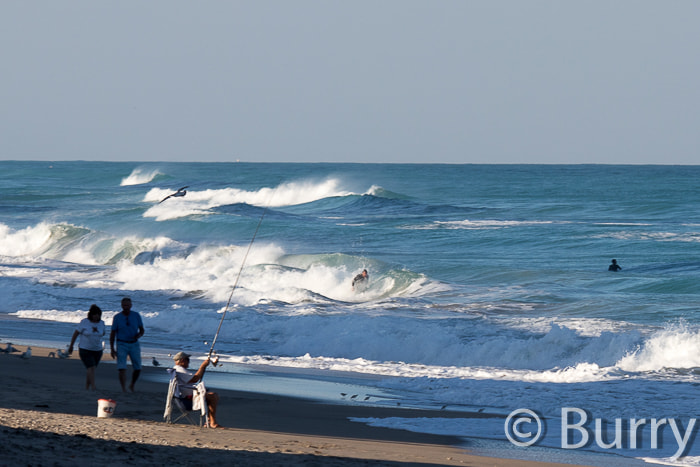 Canon EF 100-400mm F4.5-5.6L IS USM sample photo. Shuckers photography