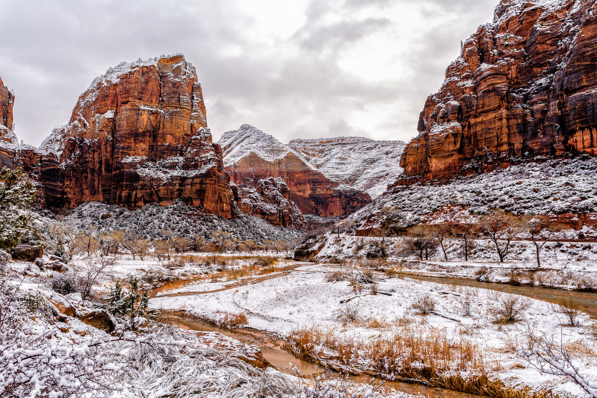 Nikon D750 + Nikon AF-S Nikkor 200-400mm F4G ED-IF VR sample photo. Beautiful zion. photography