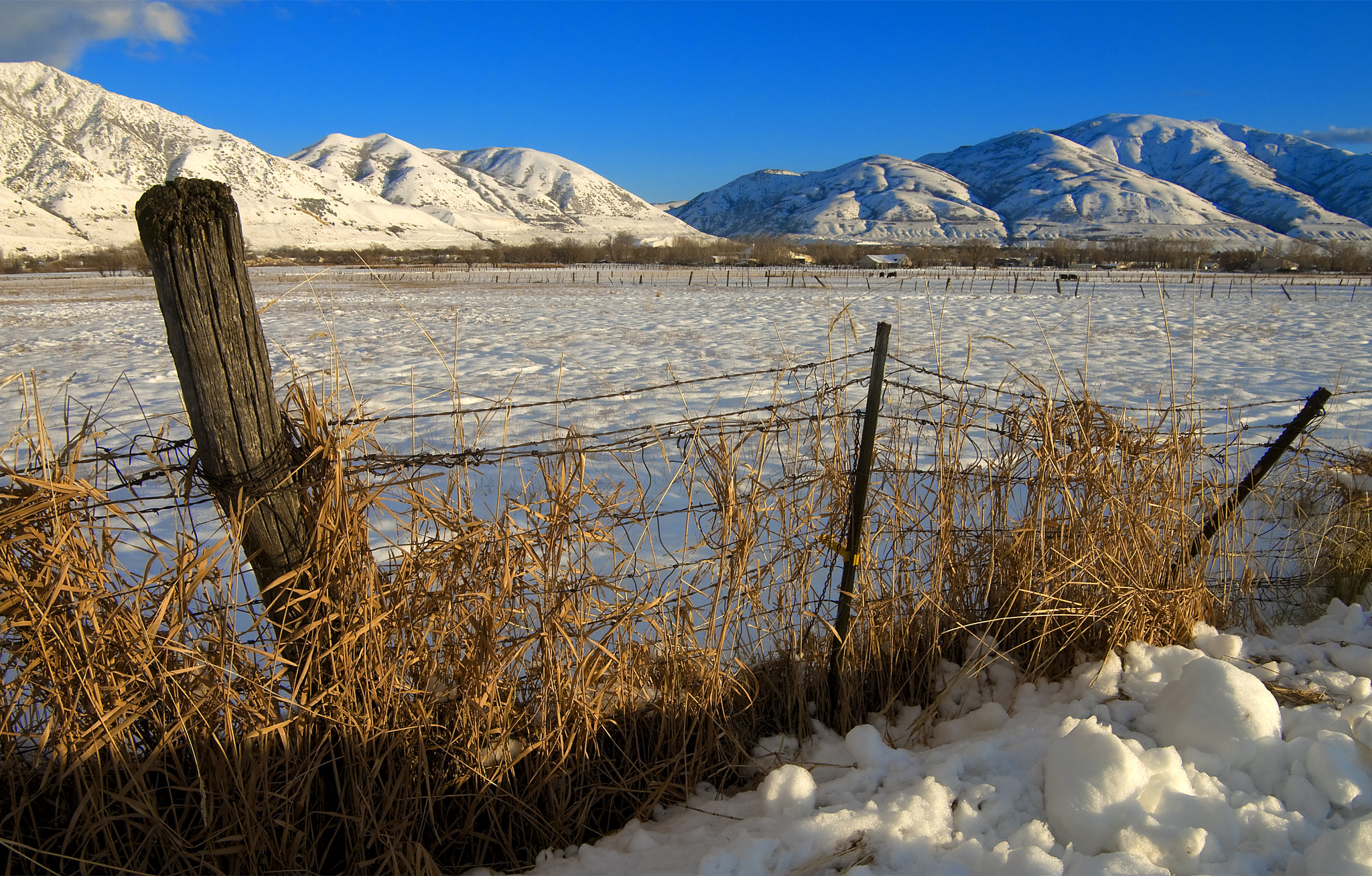 Pentax K20D sample photo. Sunset fence photography