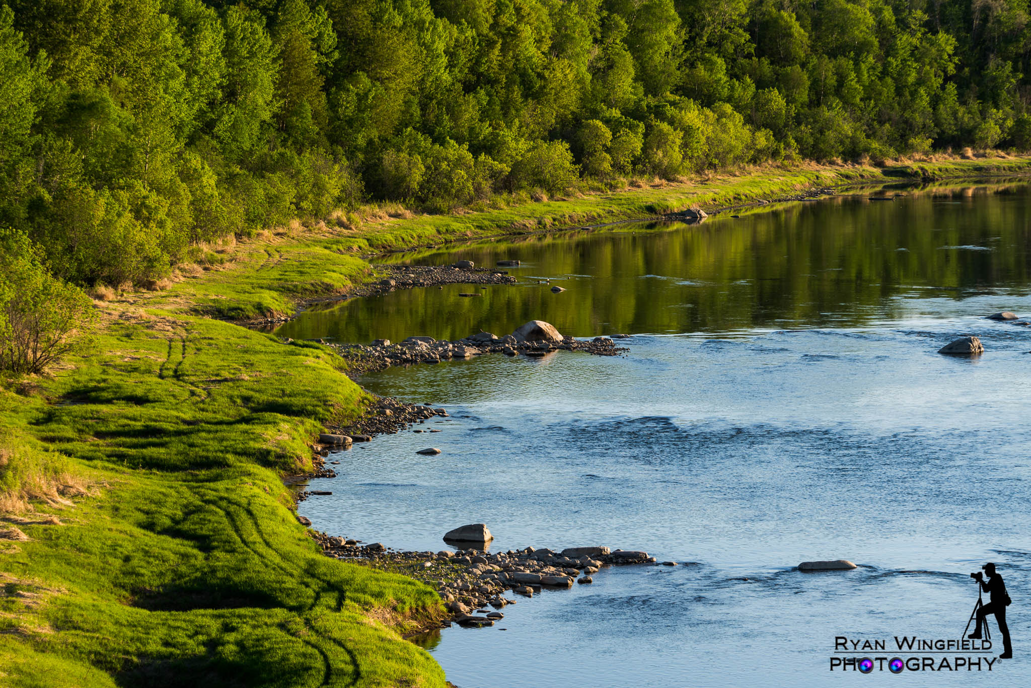 Nikon D600 sample photo. River line photography