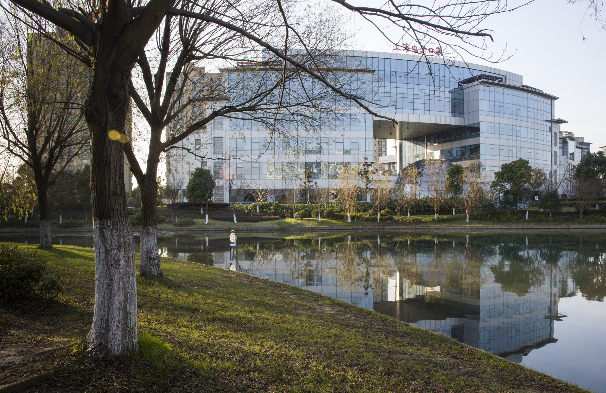 Nikon D800 sample photo. Mirror photography