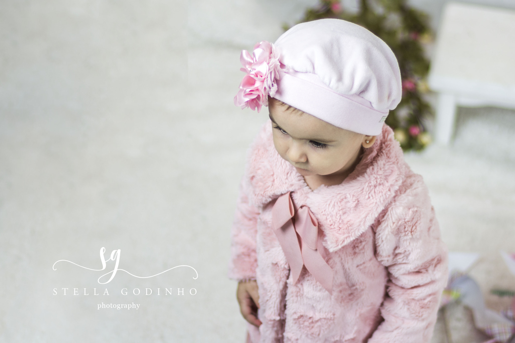 Canon EF 50mm F1.4 USM sample photo. Img photography