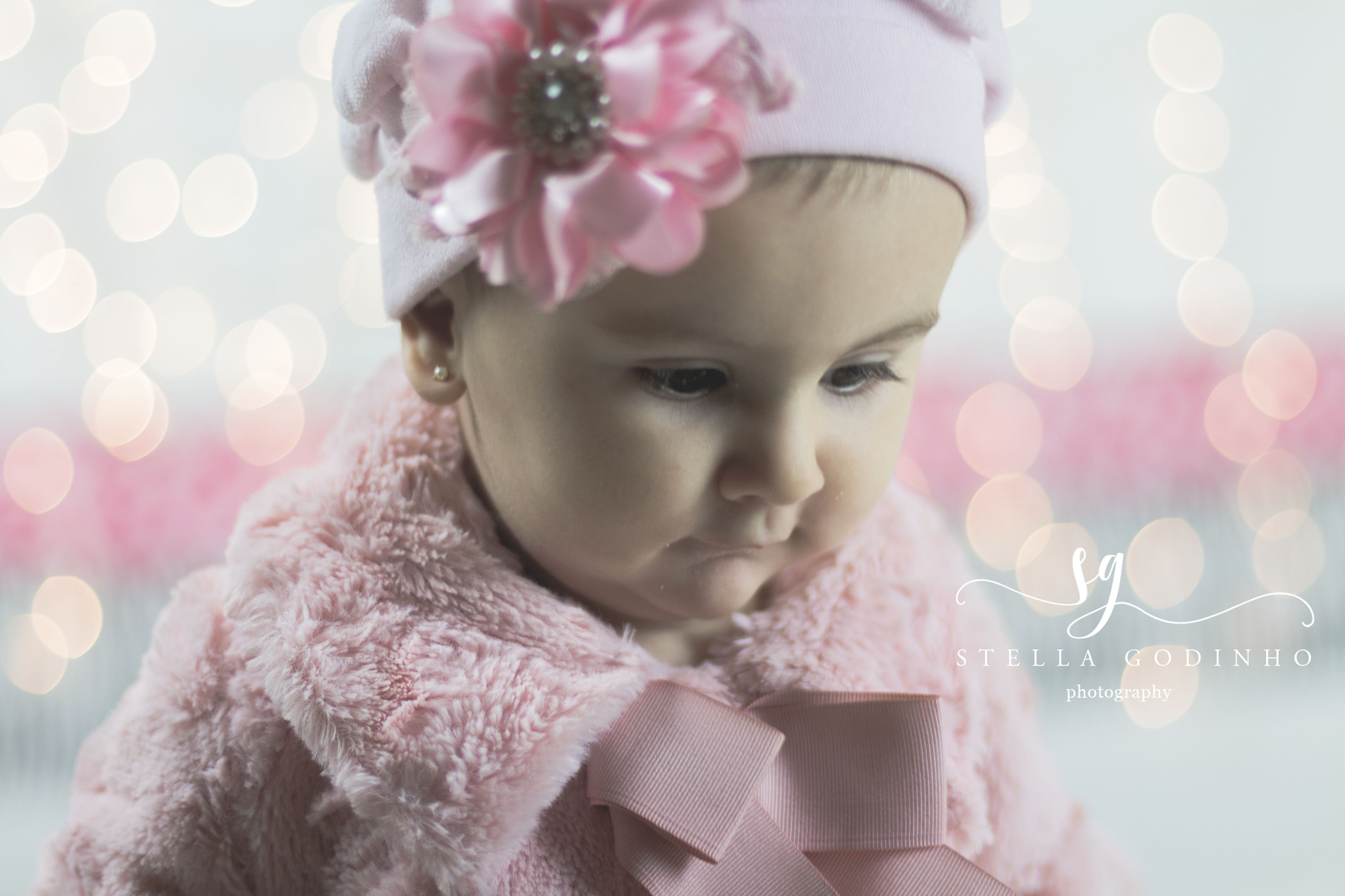 Canon EF 50mm F1.4 USM sample photo. Img photography