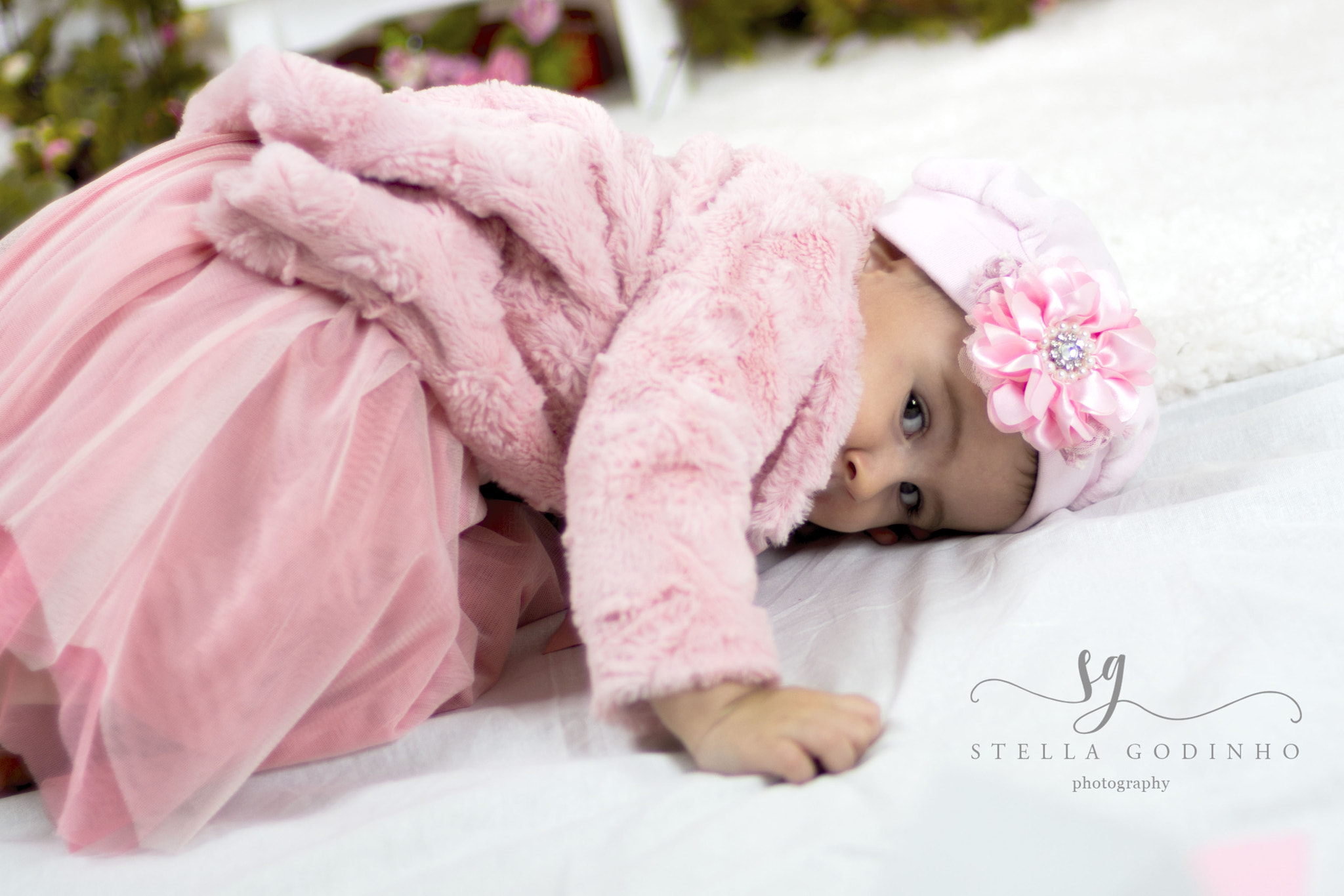 Canon EF 50mm F1.4 USM sample photo. Img photography