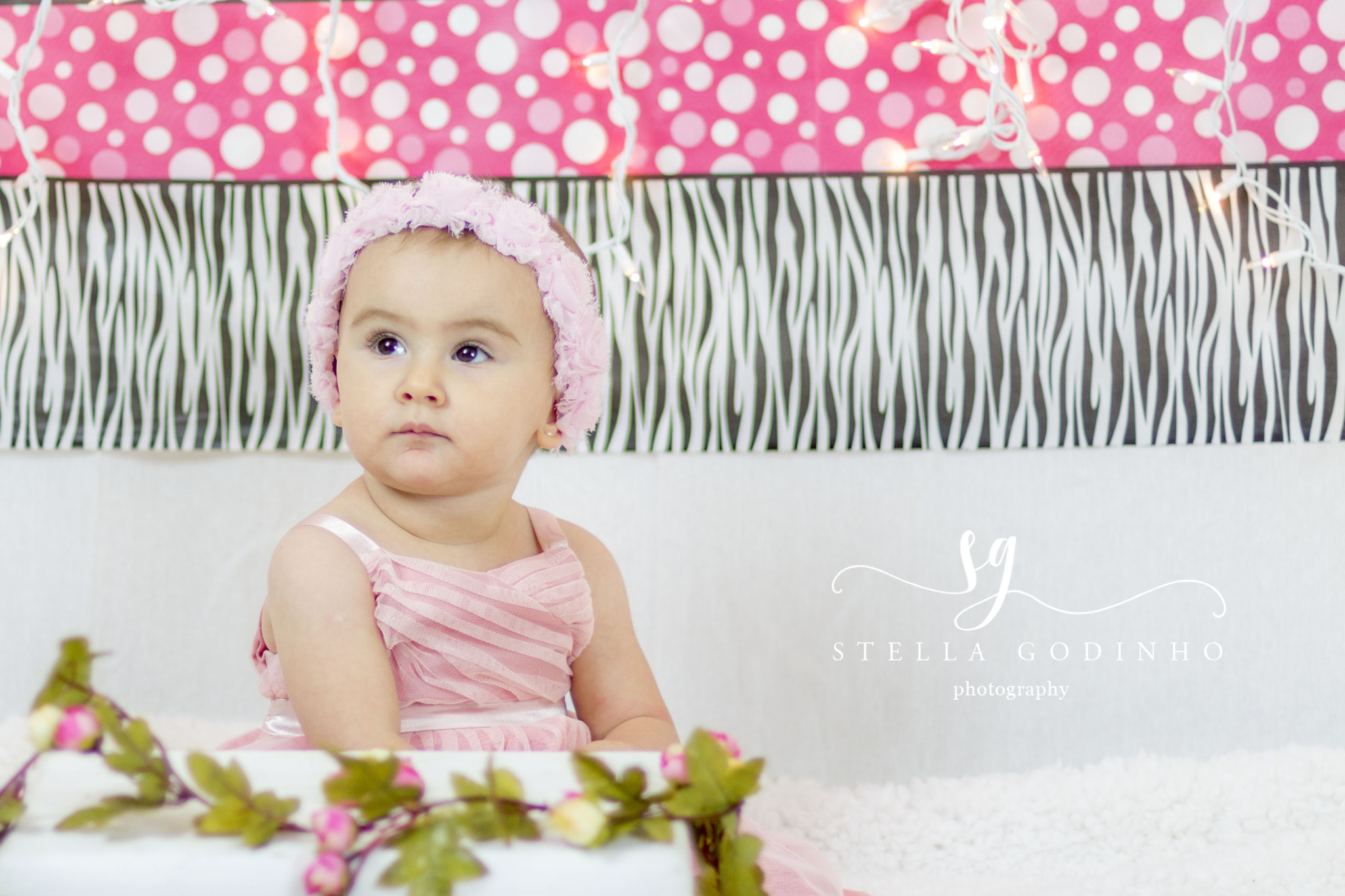 Canon EF 50mm F1.4 USM sample photo. Img photography