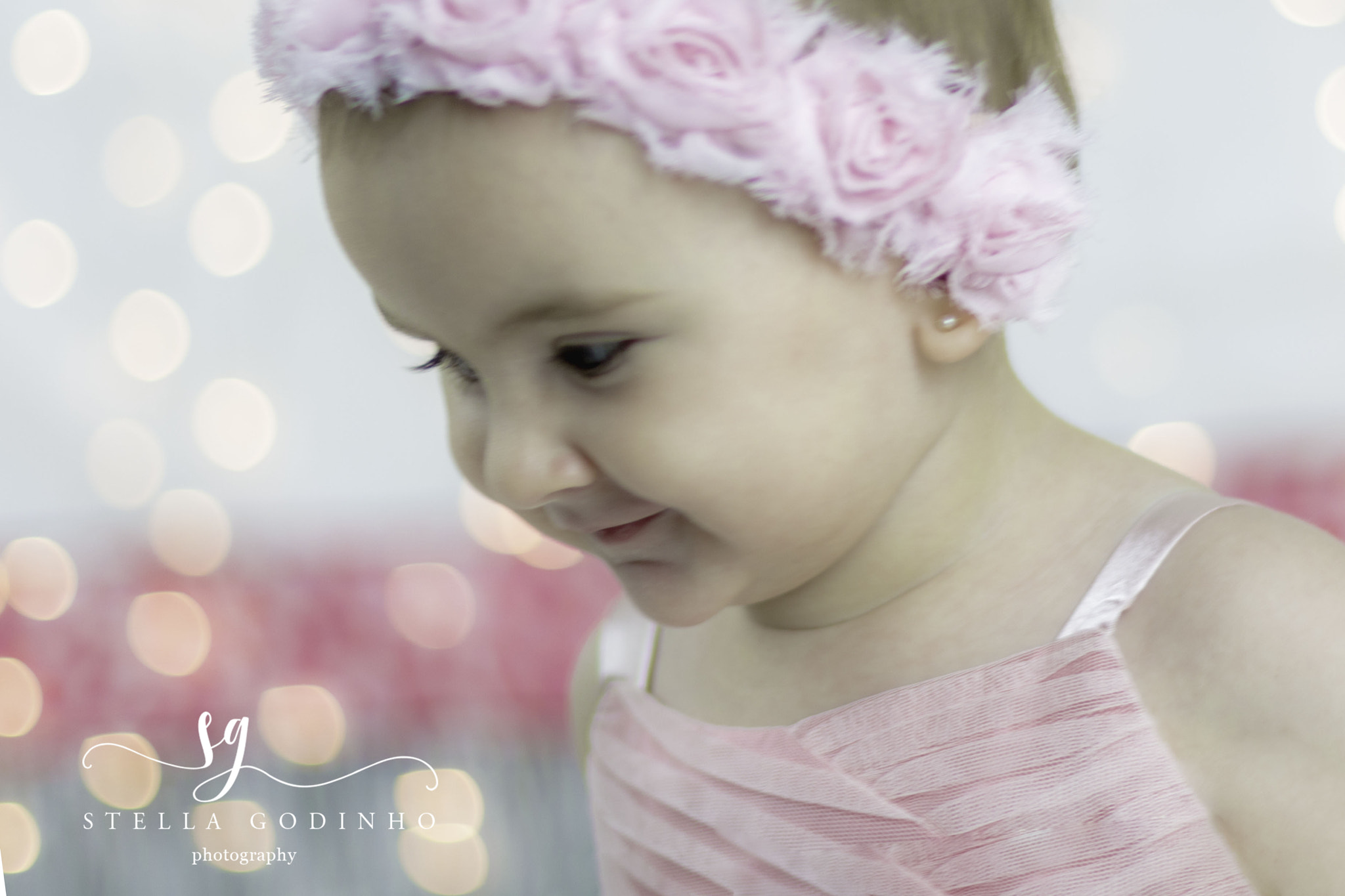 Canon EF 50mm F1.4 USM sample photo. Img photography