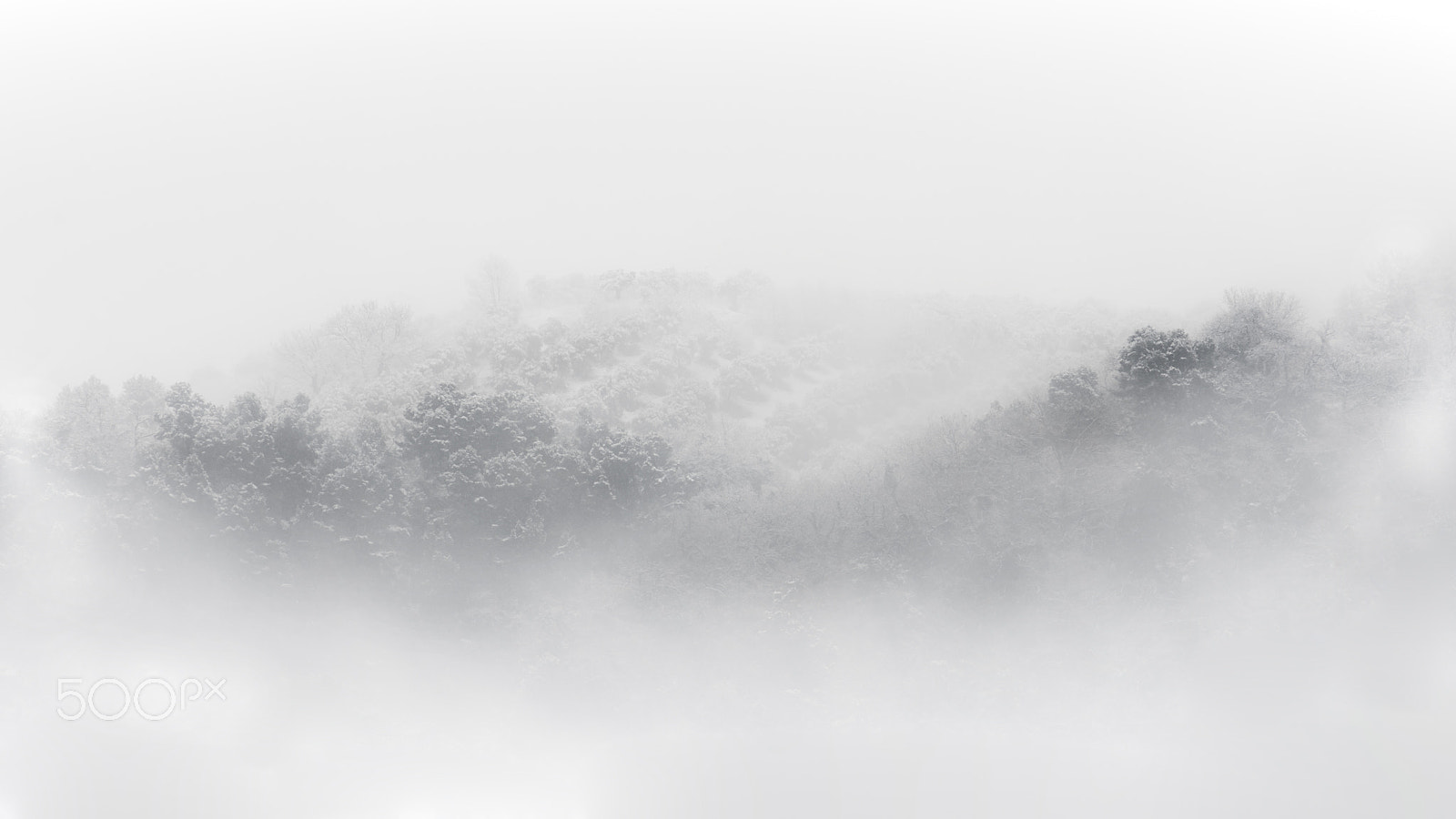 Nikon AF-Nikkor 80-200mm F2.8D ED sample photo. Fog and snow photography